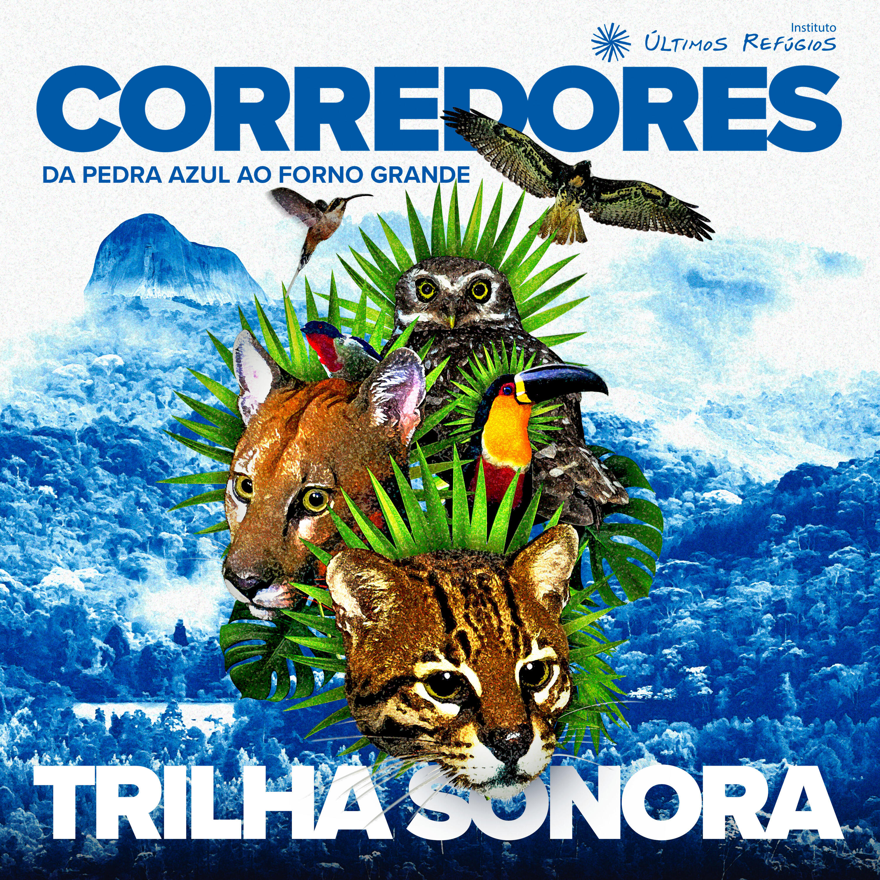 Релиз Corredores - Da Pedra Azul ao Forno Grande