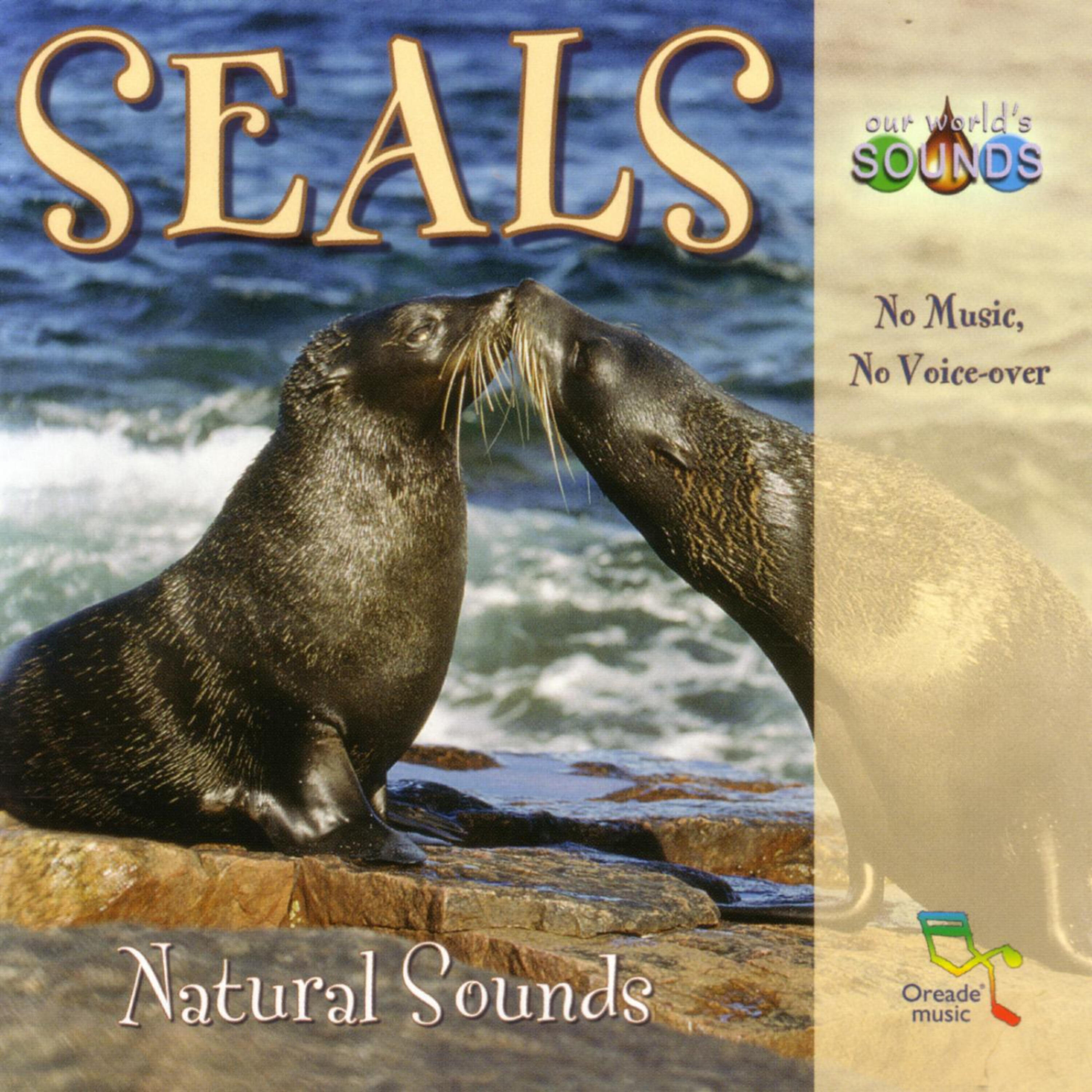 Our World's Sounds