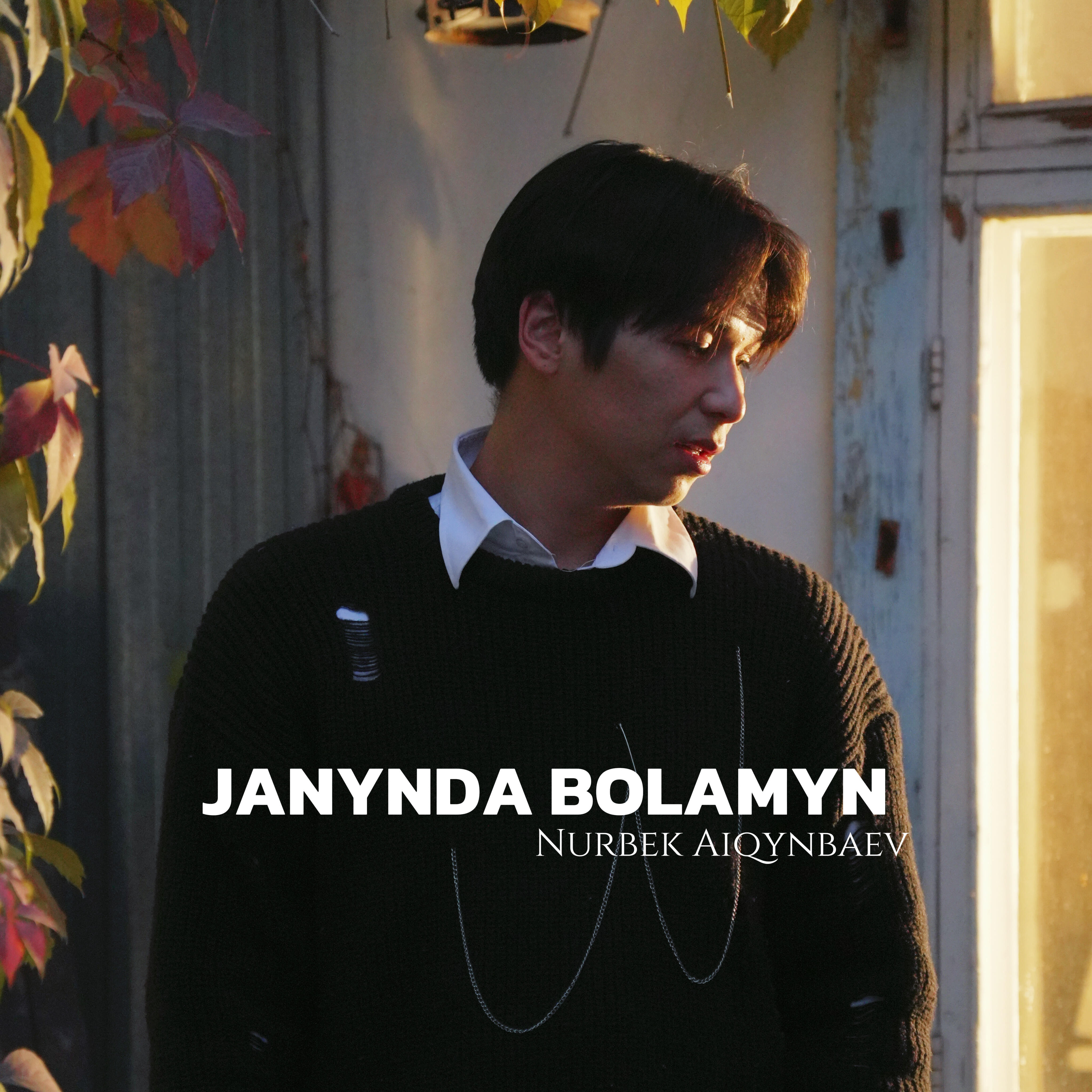 Релиз JANYNDA BOLAMYN