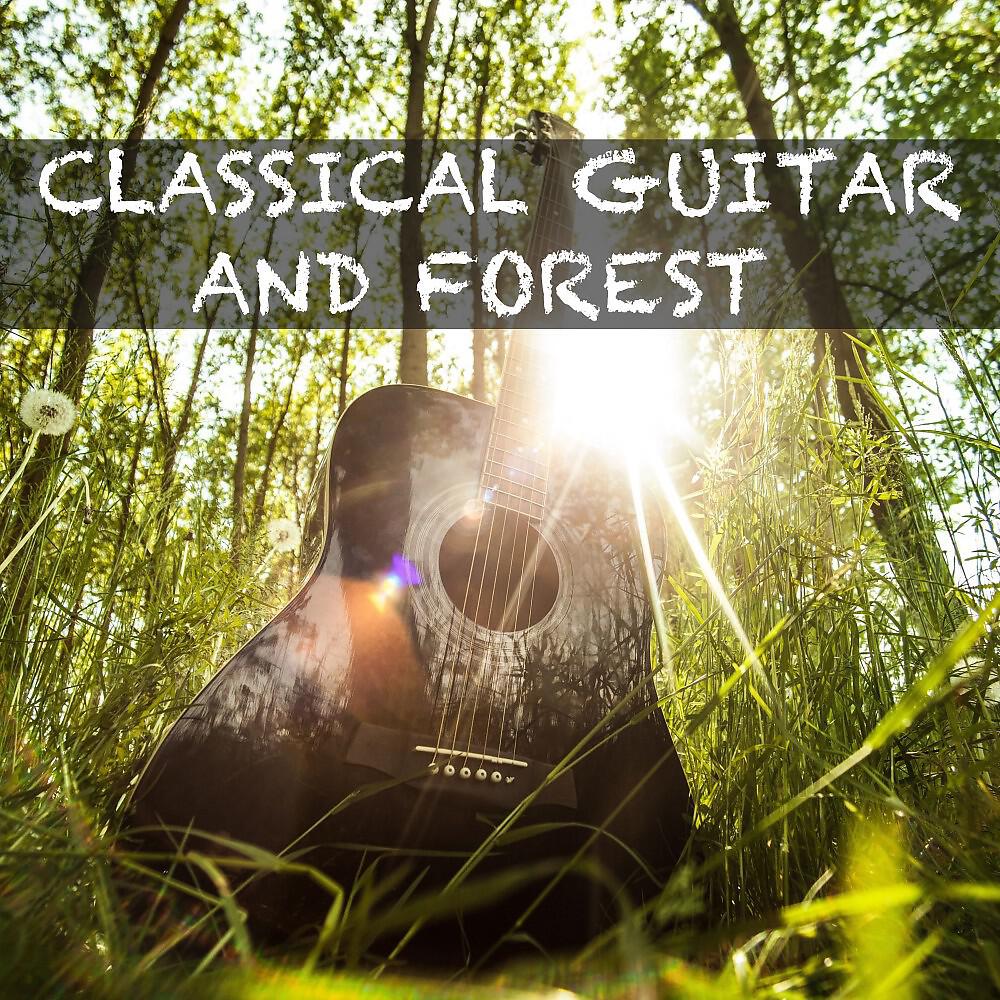 Релиз Classical Guitar and Forest