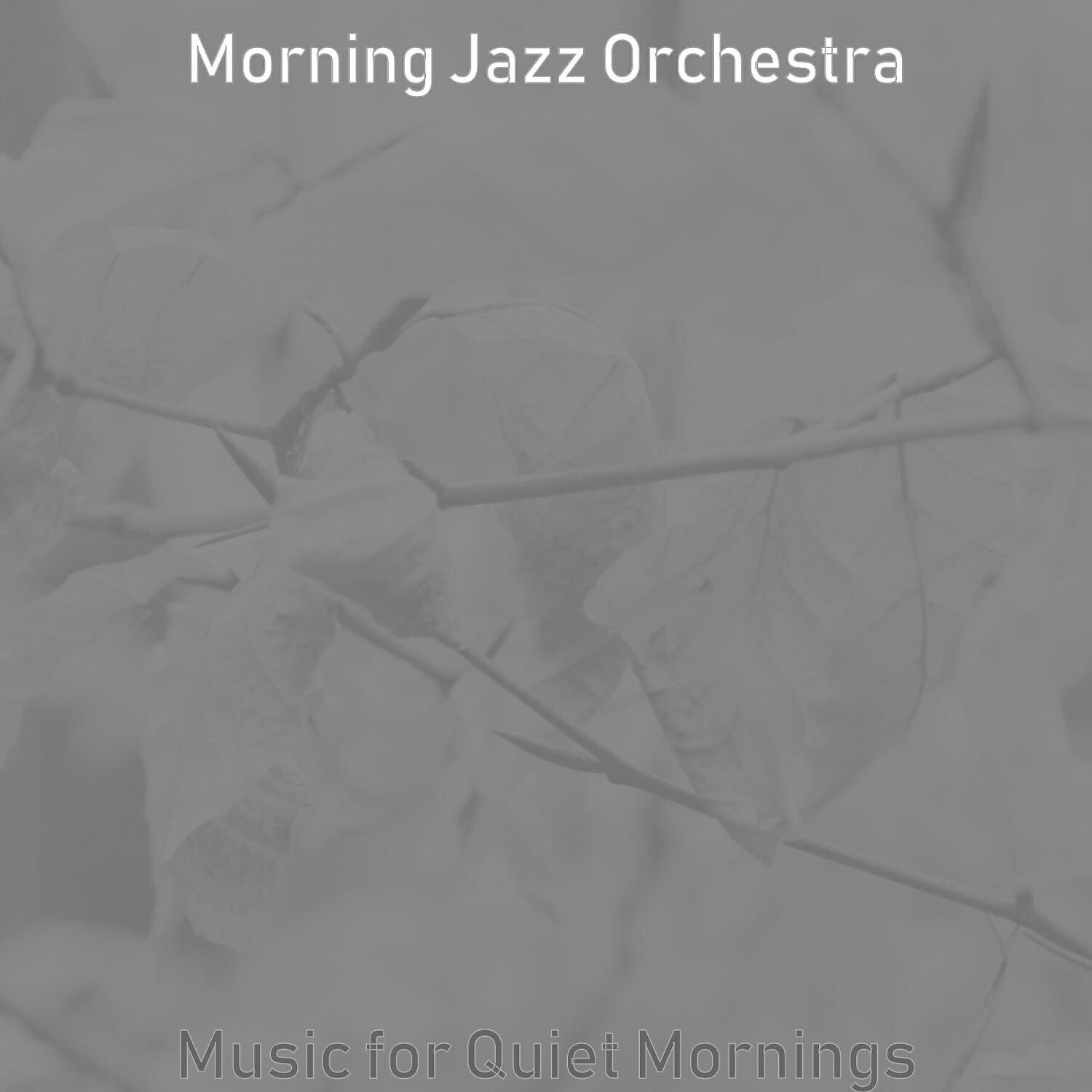 Релиз Music for Quiet Mornings