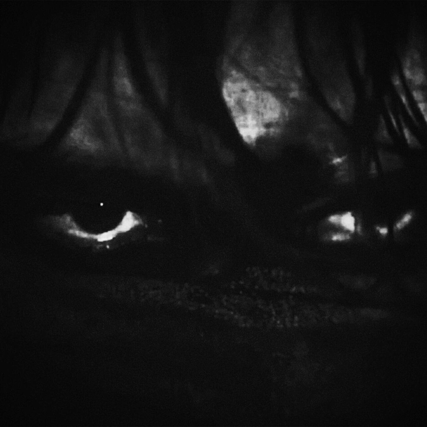 Релиз FIEND