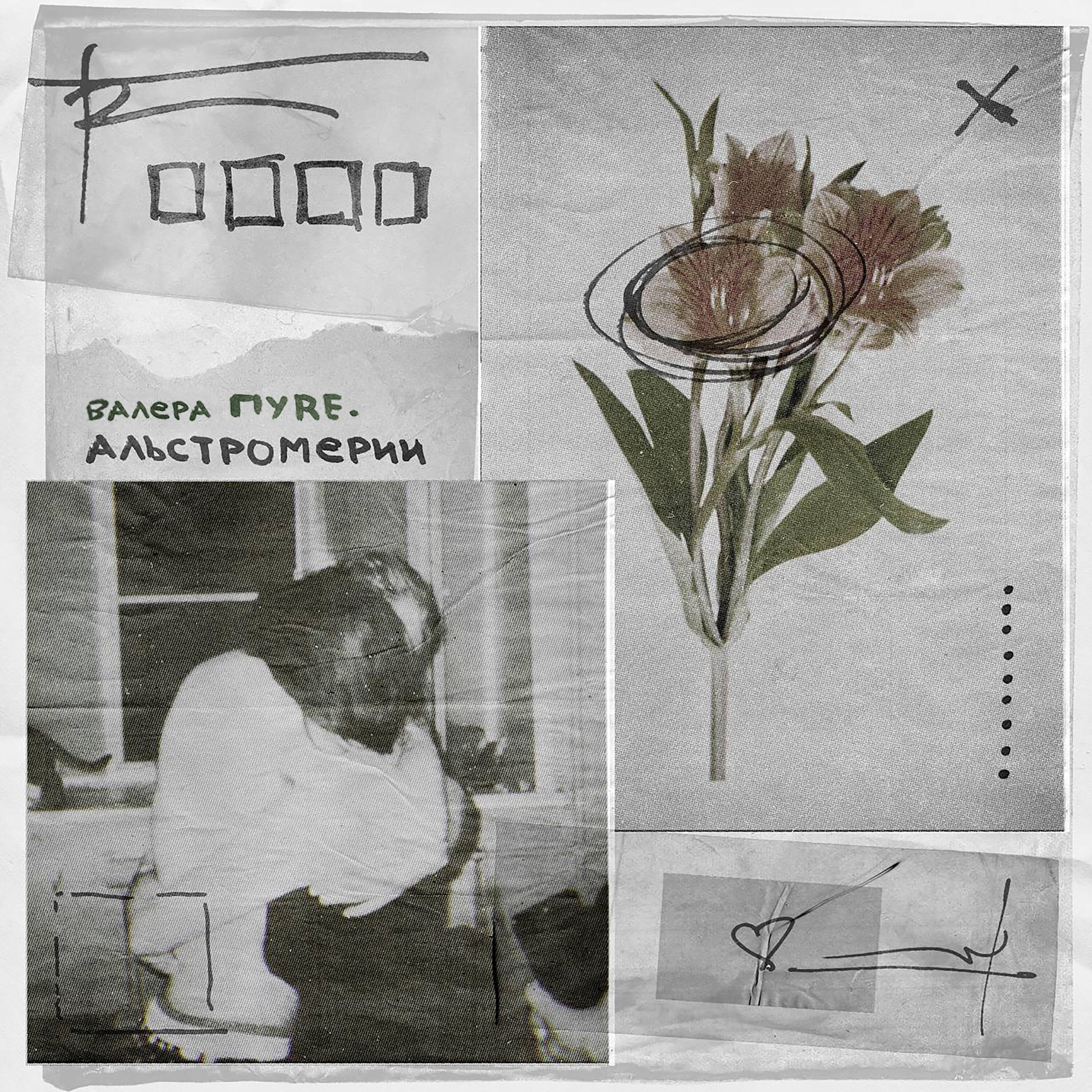 Релиз Альстромерии