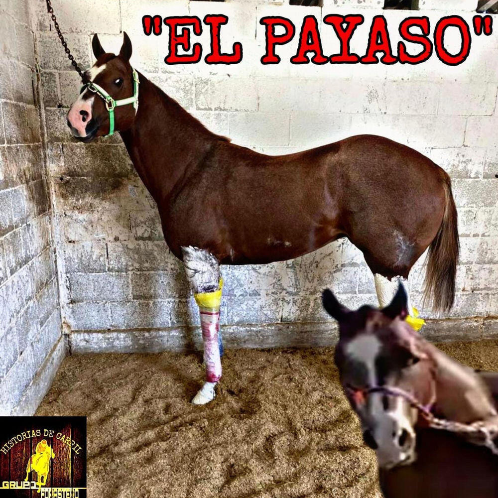 Релиз El Payaso
