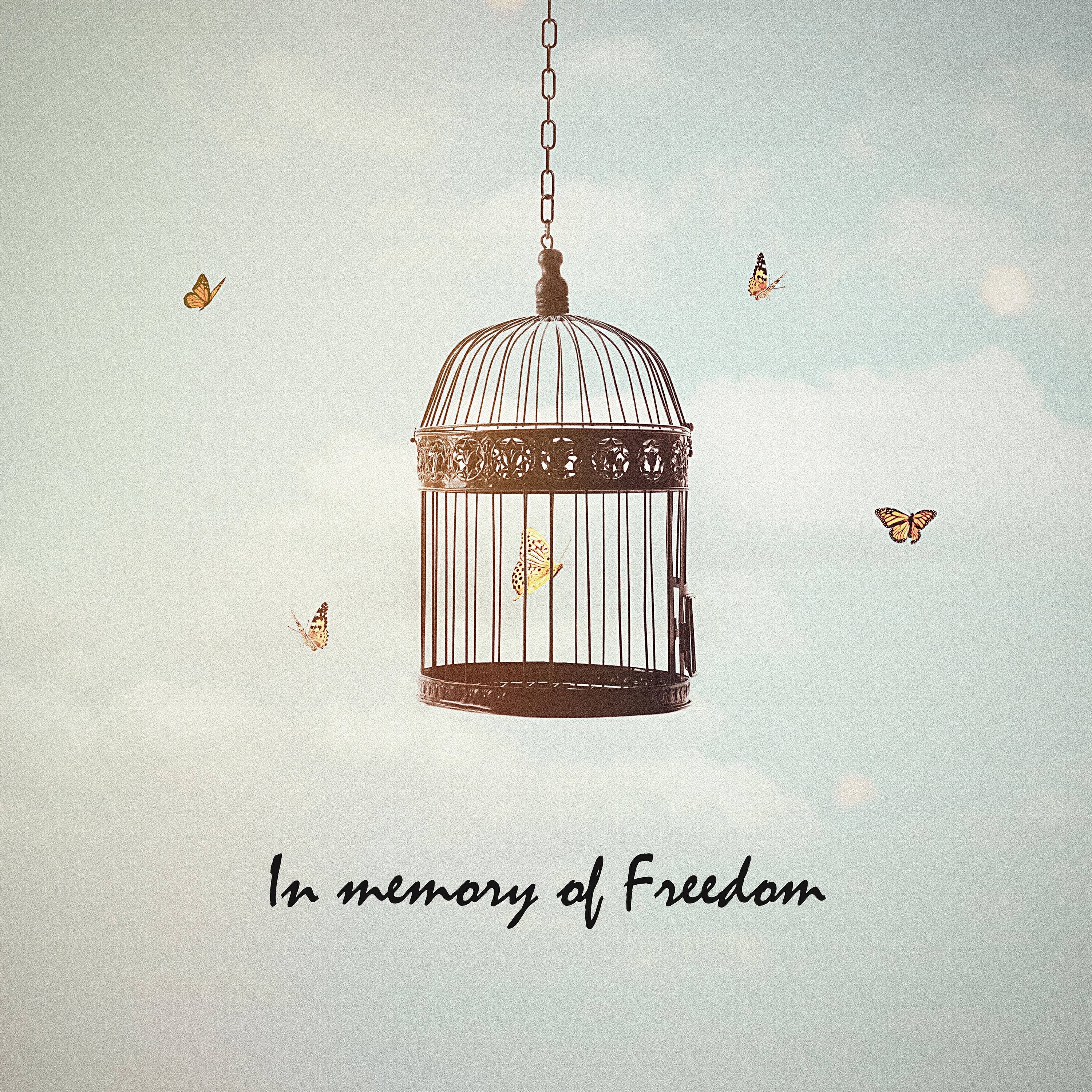 Релиз In Memory of Freedom