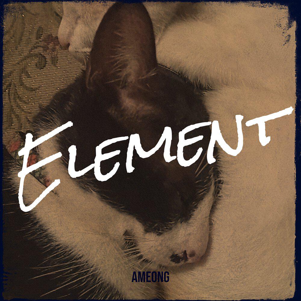 AMEONG