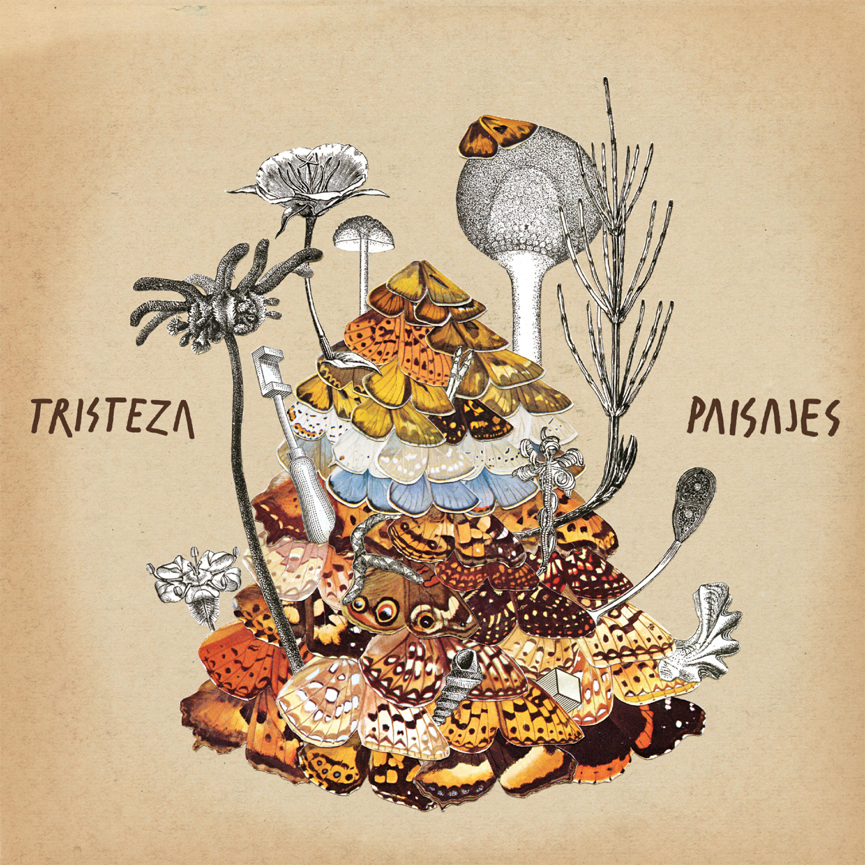 Релиз Paisajes