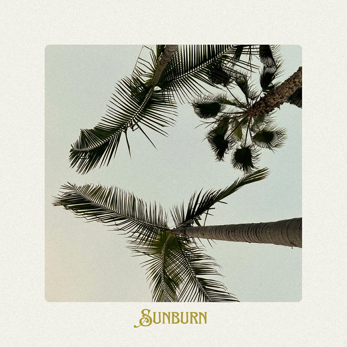 Релиз Sunburn