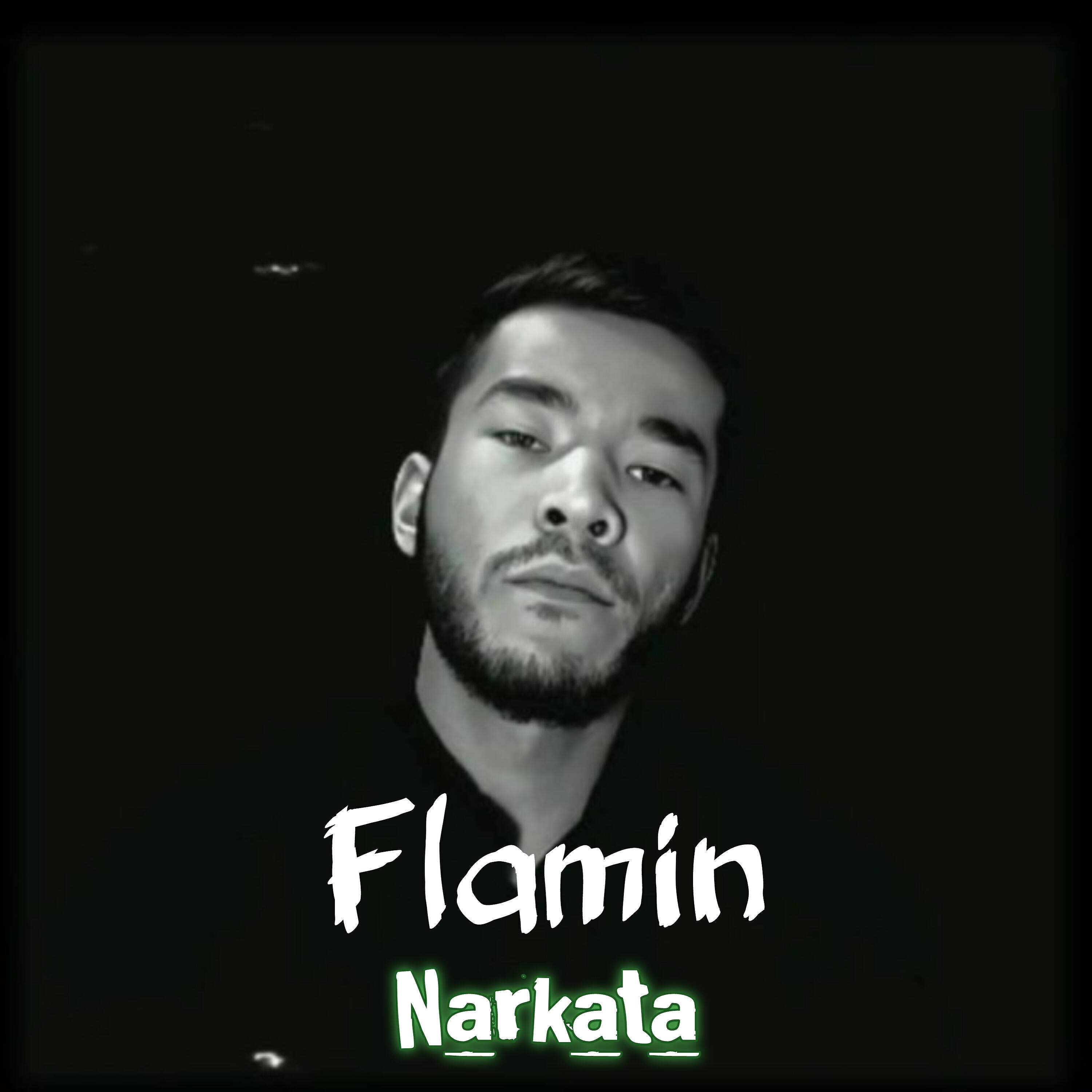 Постер альбома Narkata