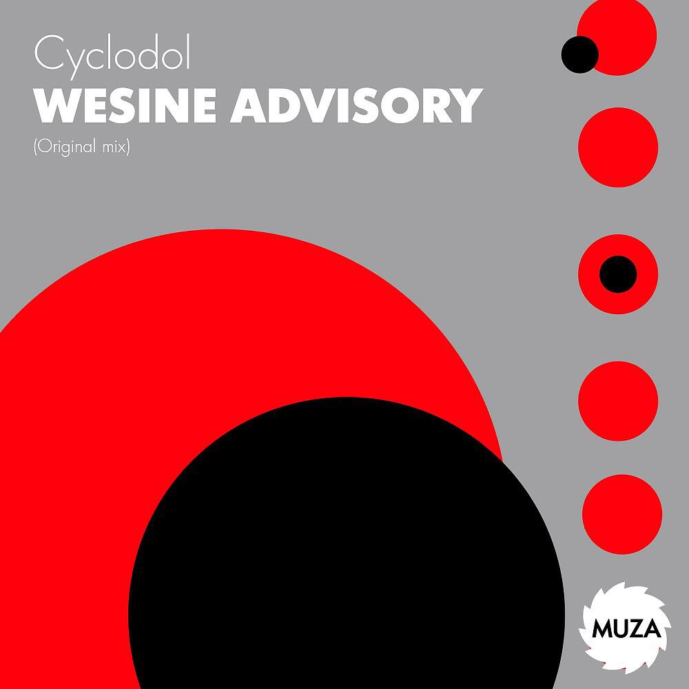 Релиз Wesine Advisory
