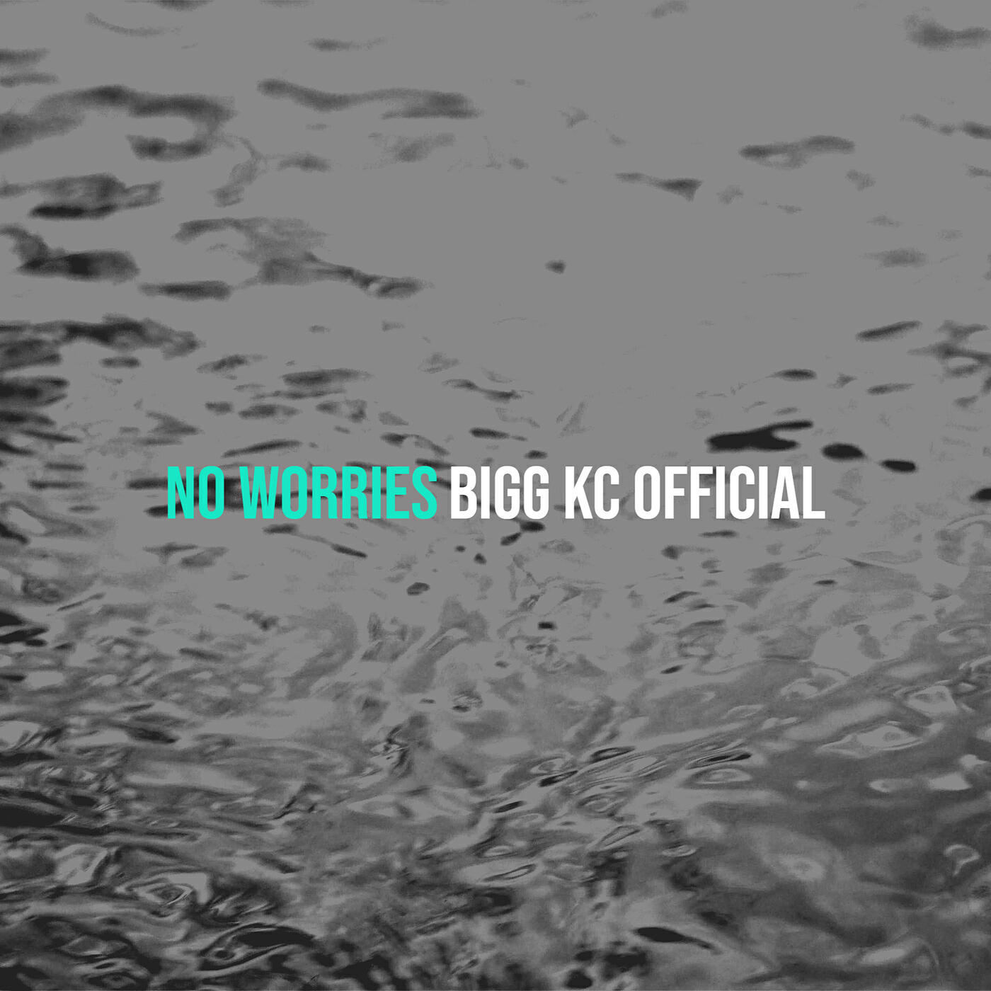 Релиз No Worries