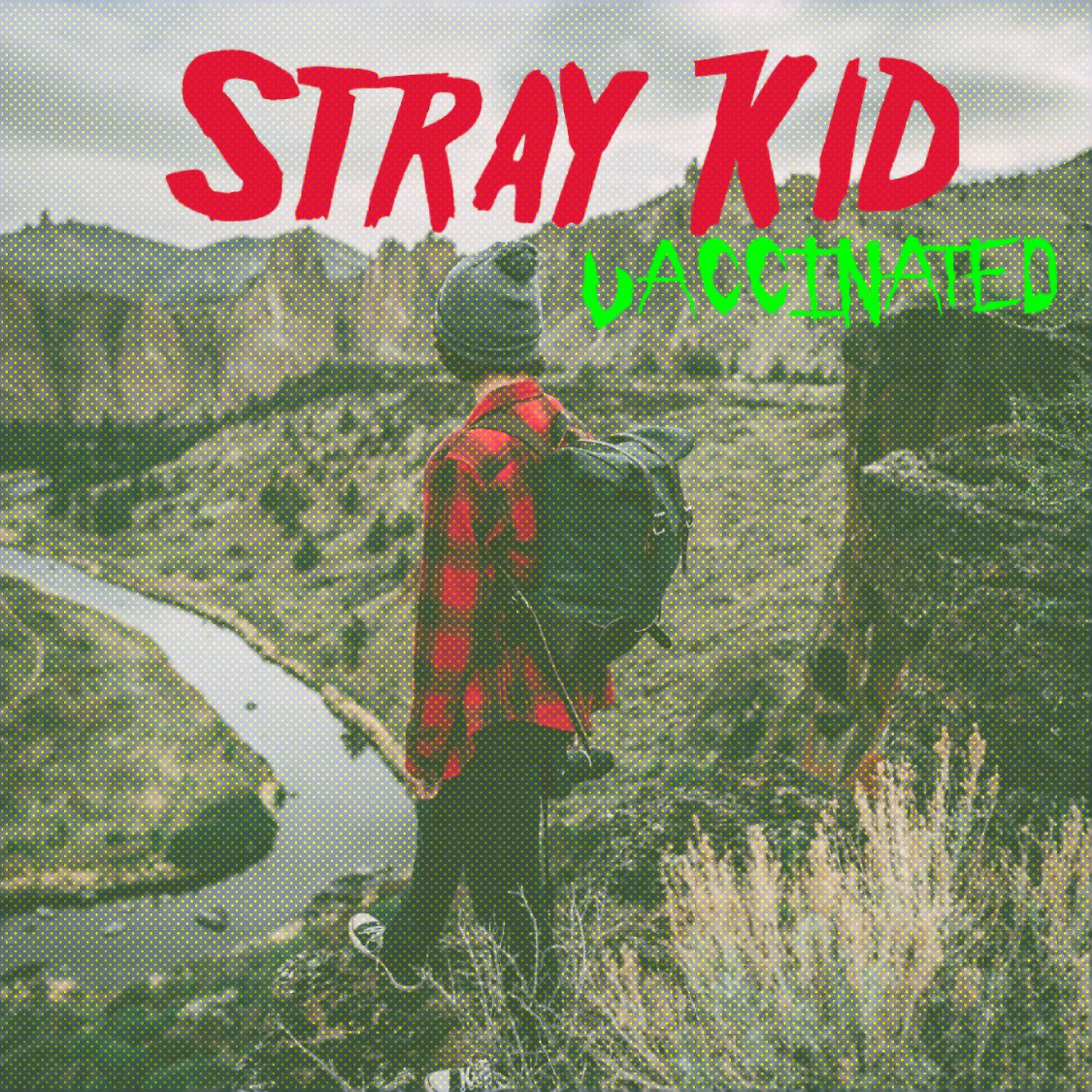 Stray Kid