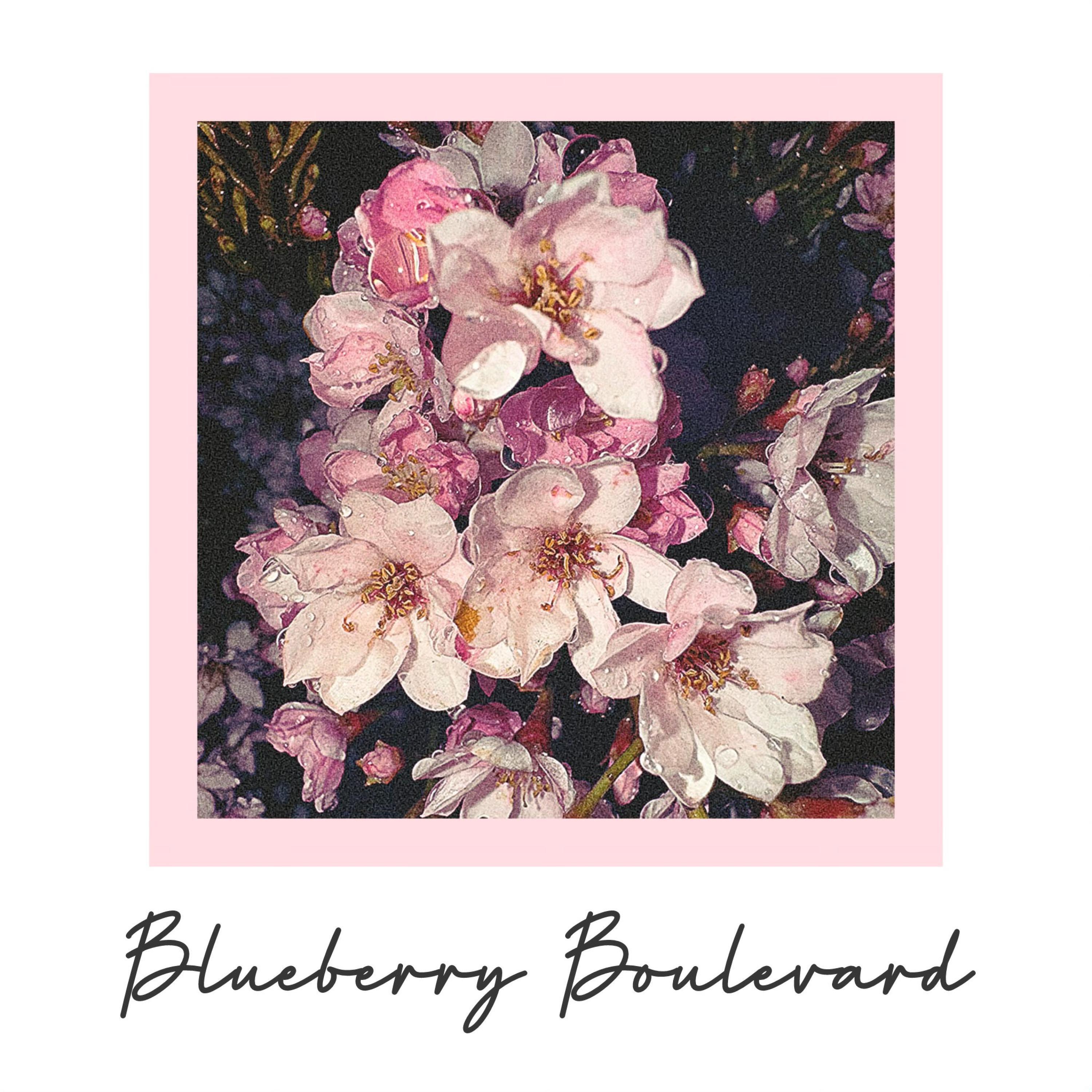 Релиз Visions of Blueberry Boulevard