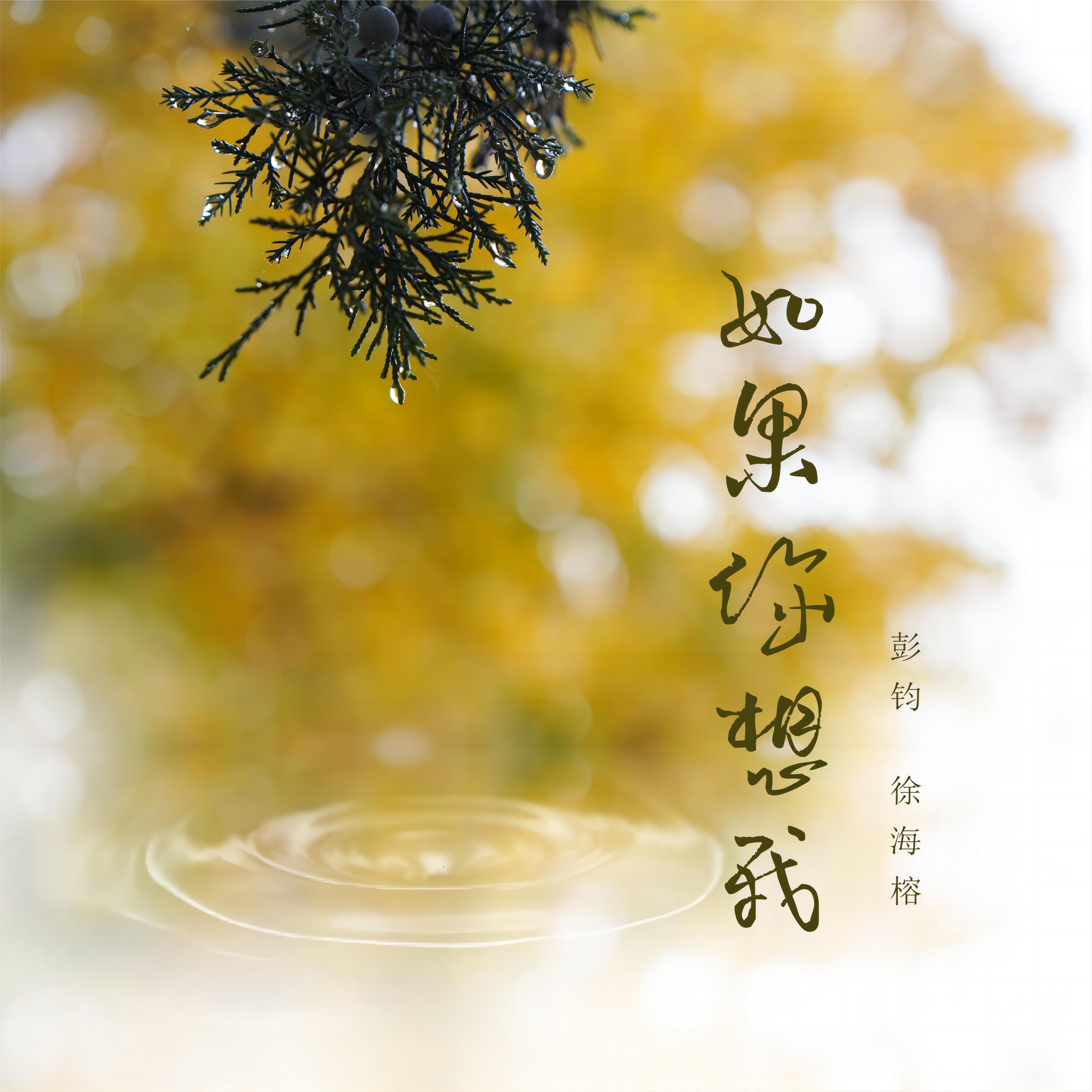 Релиз 如果你想我