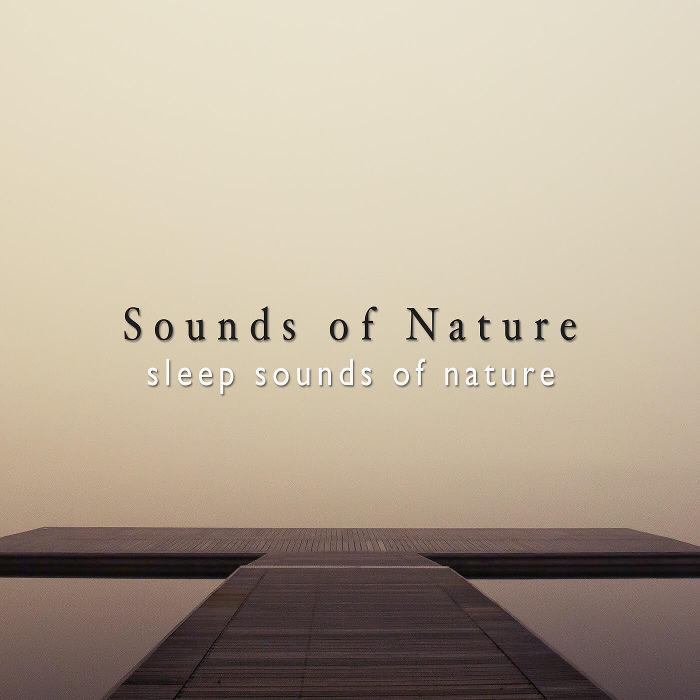 Релиз Sleep Sounds of Nature