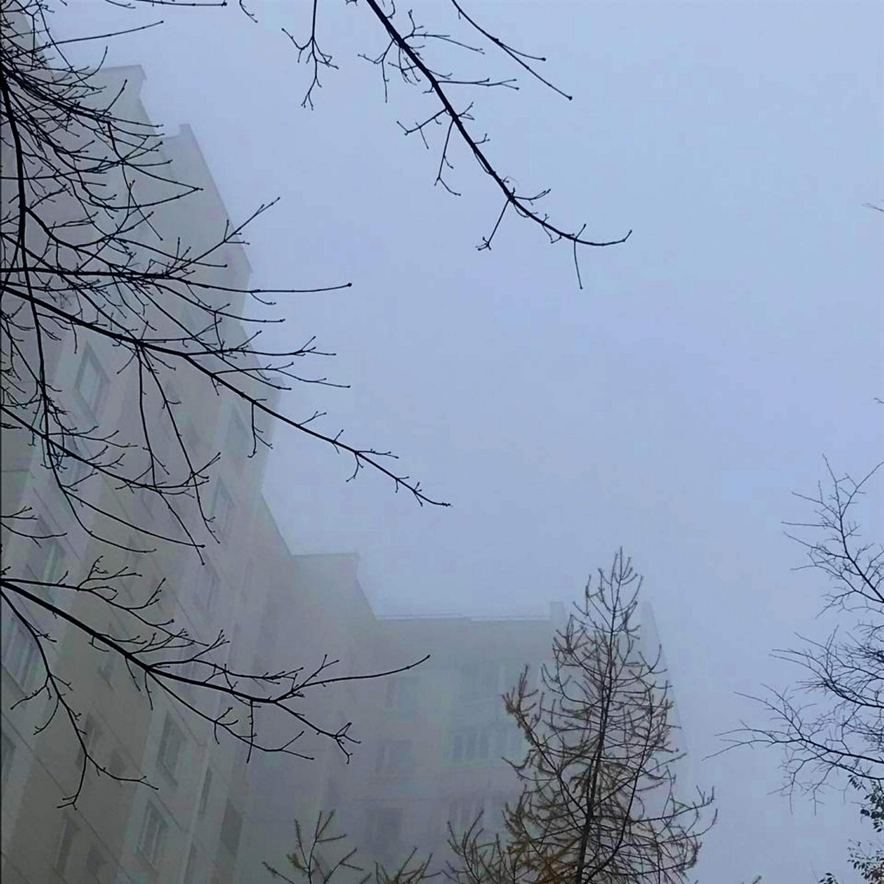 Релиз Самая страшная ночь
