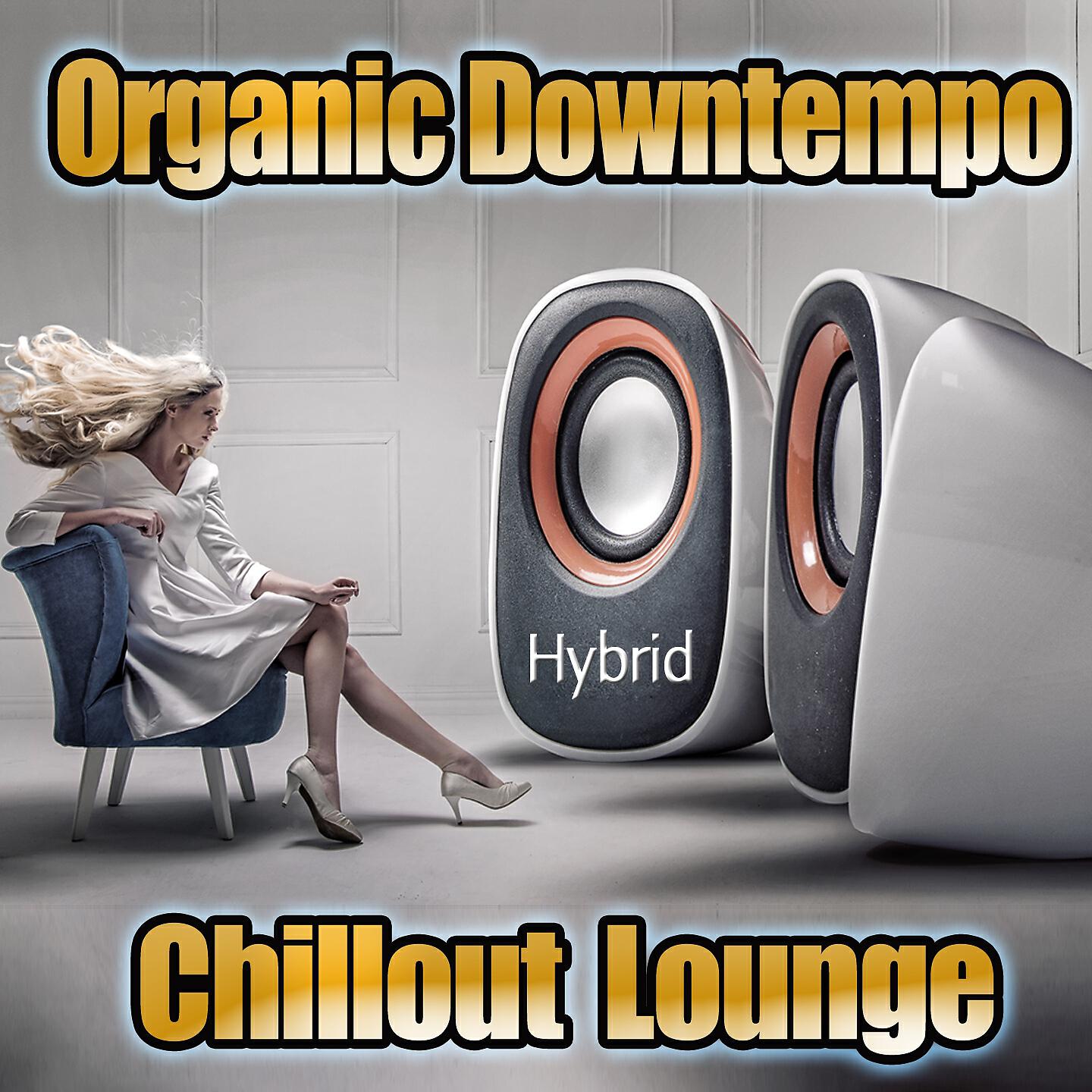 Релиз Hybrid Organic Downtempo Chillout Lounge
