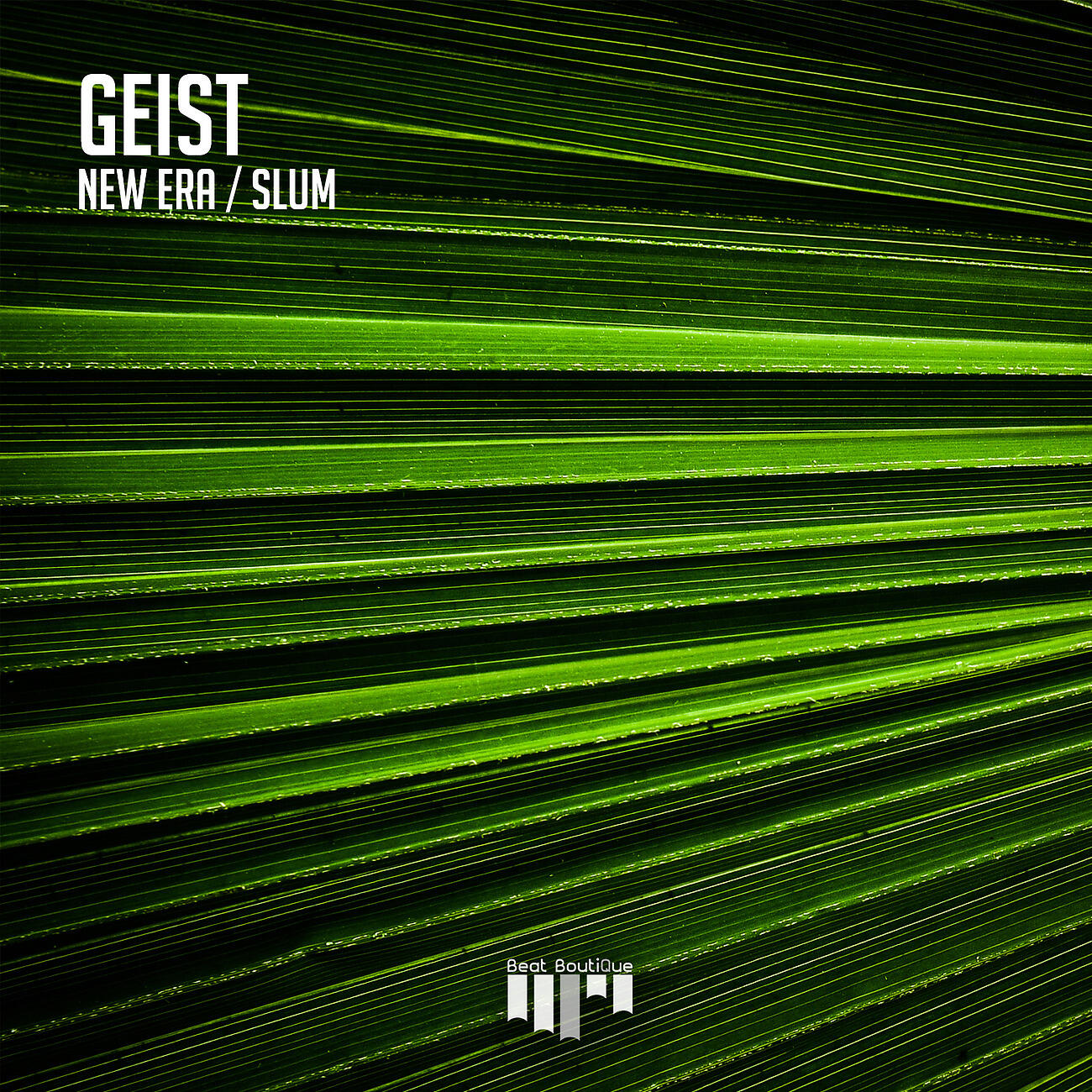 Релиз New Era / Slum