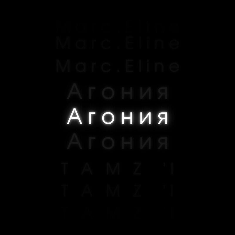 Marc.Eline