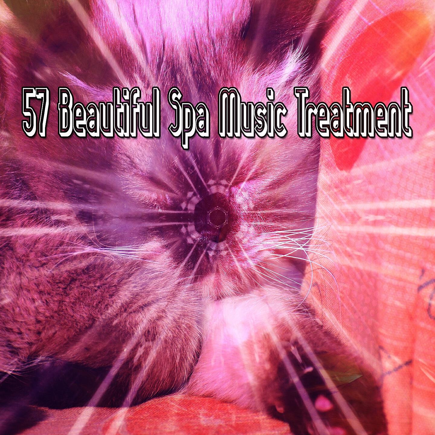 Релиз 57 Beautiful Spa Music Treatment