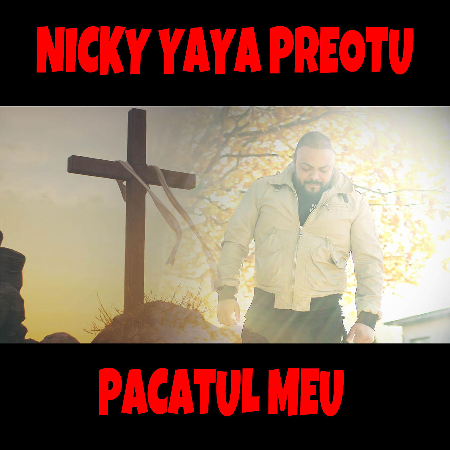 Релиз Pacatul meu