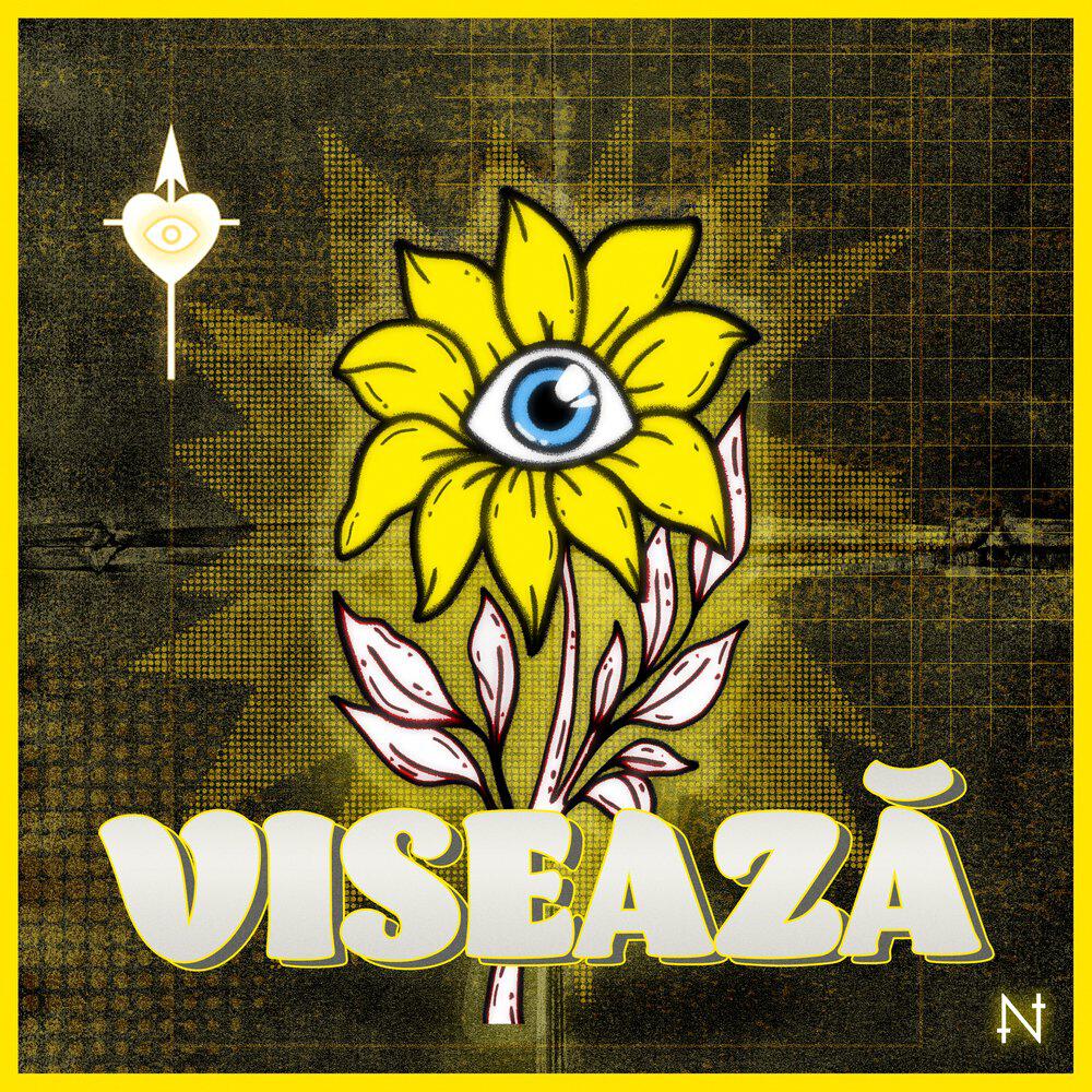 Релиз Visează