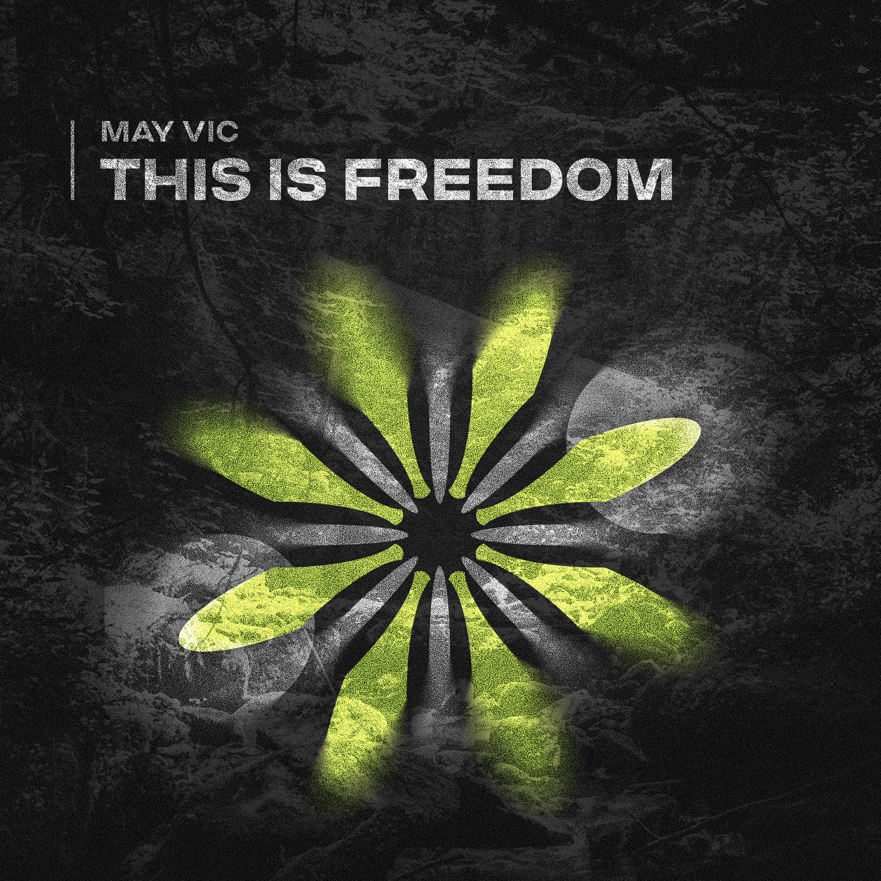 Релиз This Is Freedom