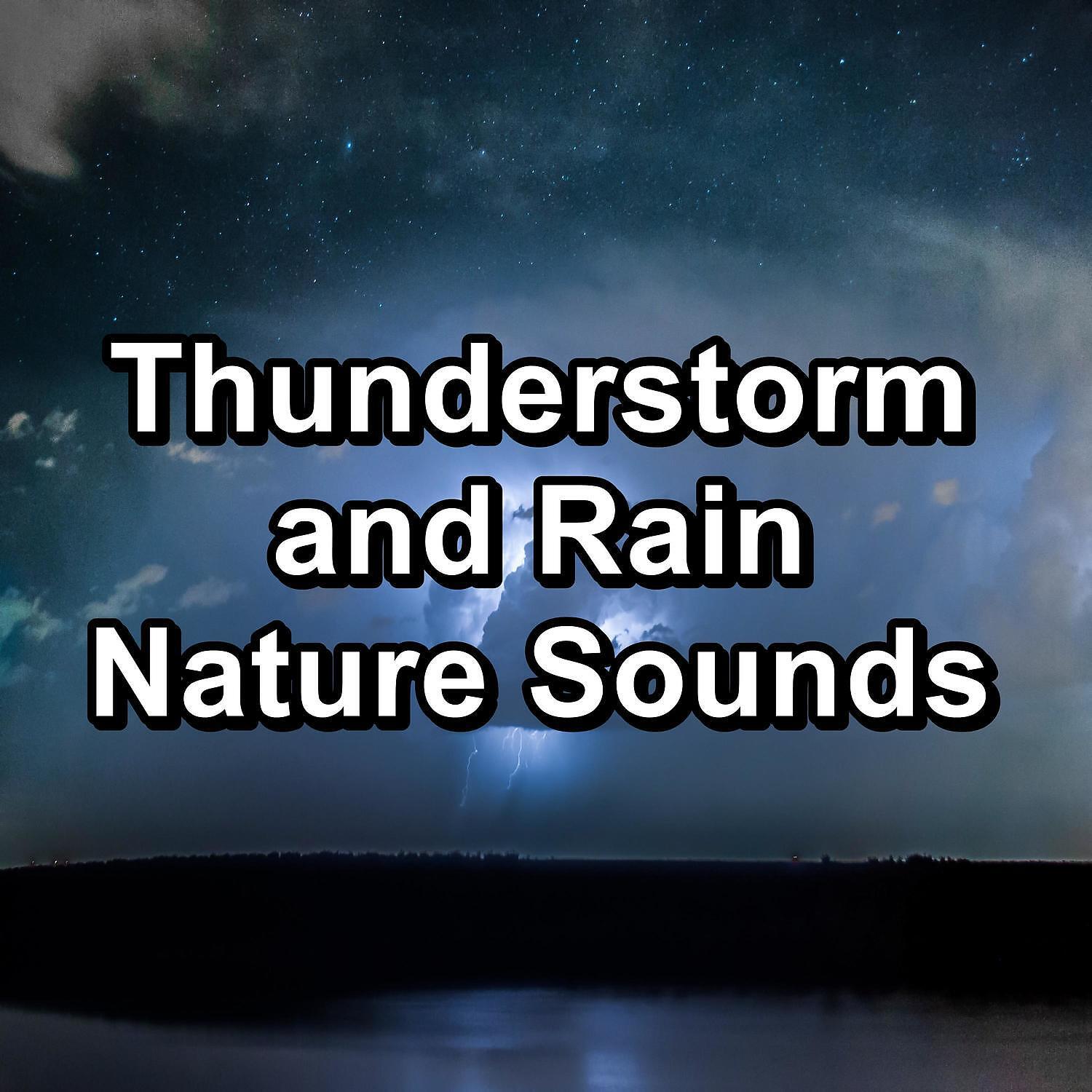 Постер альбома Thunderstorm and Rain Nature Sounds
