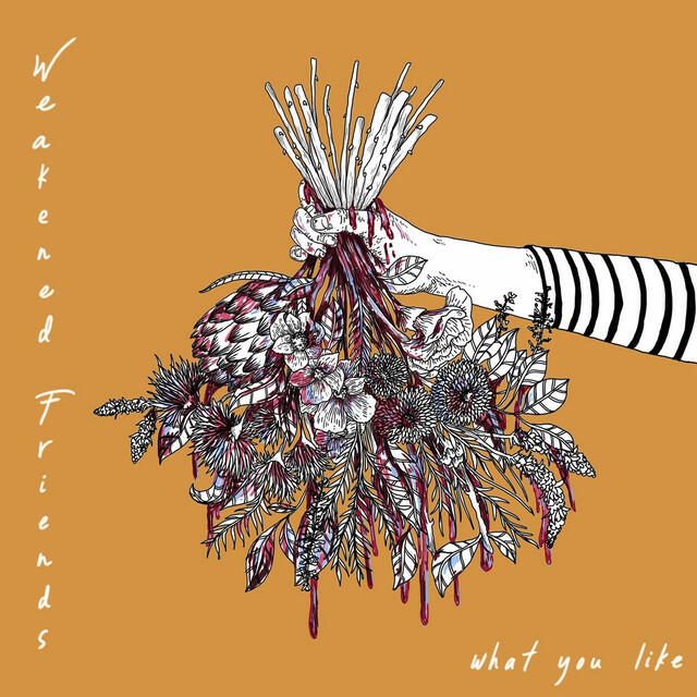 Релиз What You Like