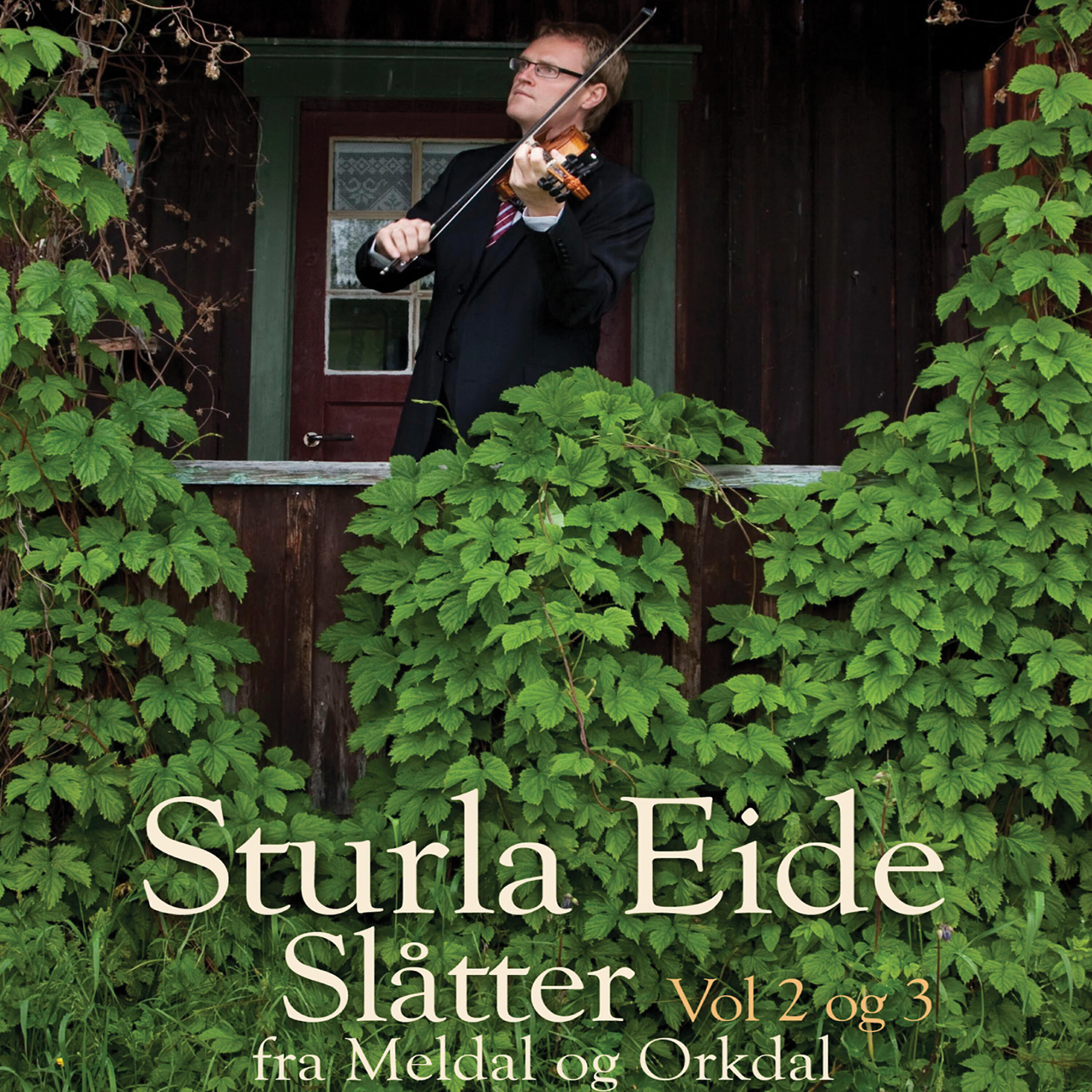 Релиз Slåtter Vol 2 Og 3 Fra Meldal Og Orkdal På Fele Og Hardingfele Og Piano