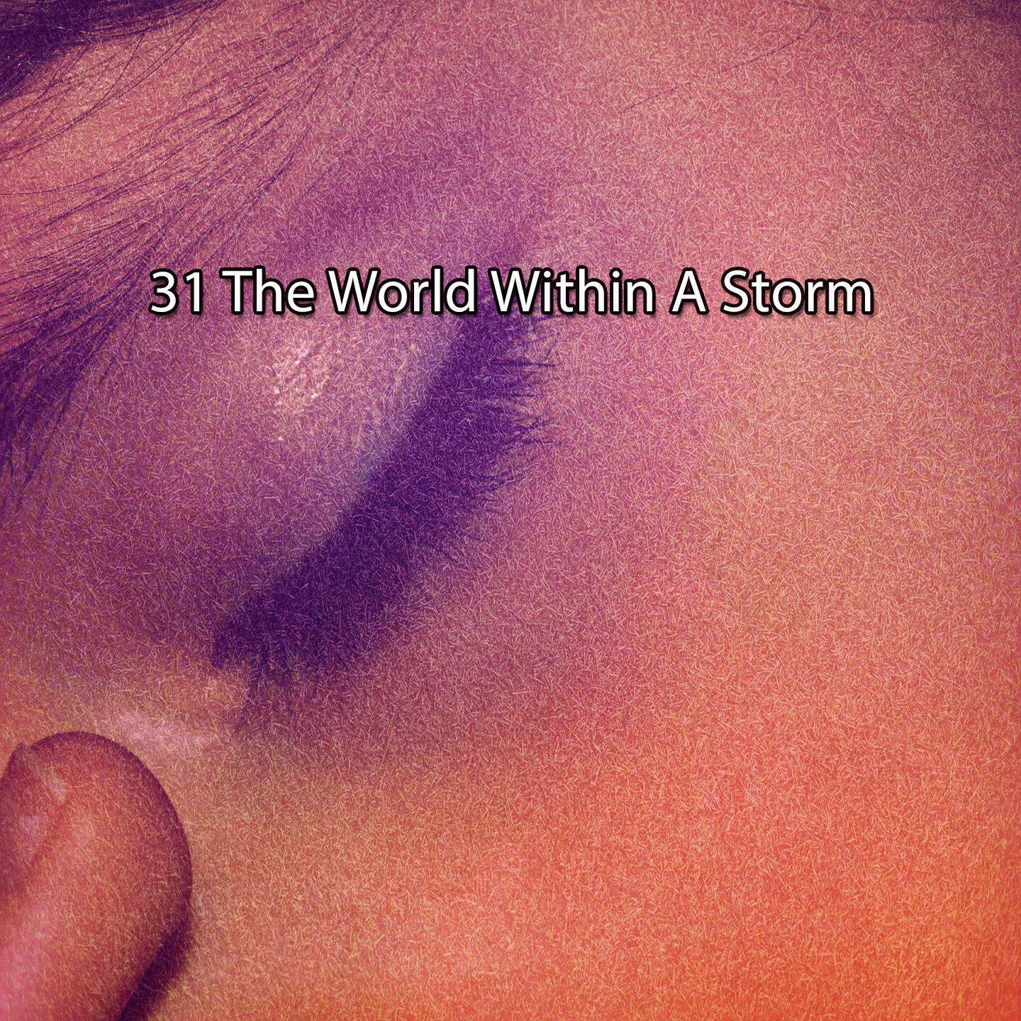 Релиз 31 The World Within A Storm