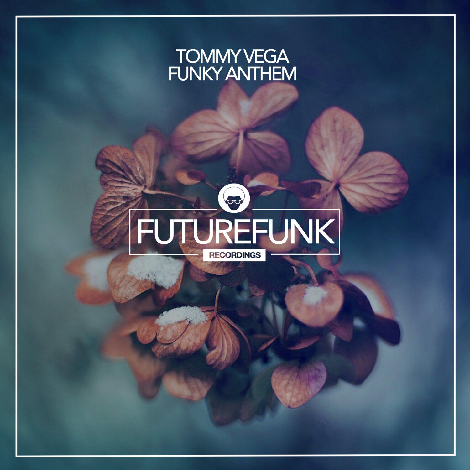 Релиз Funky Anthem