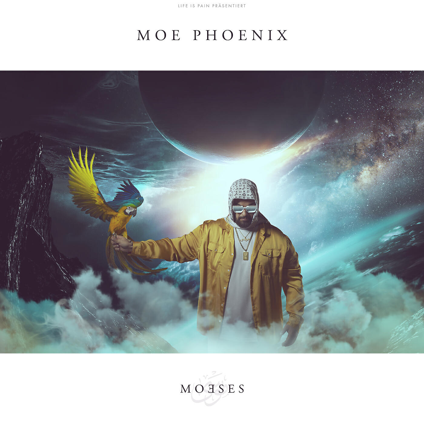 Релиз MOESES