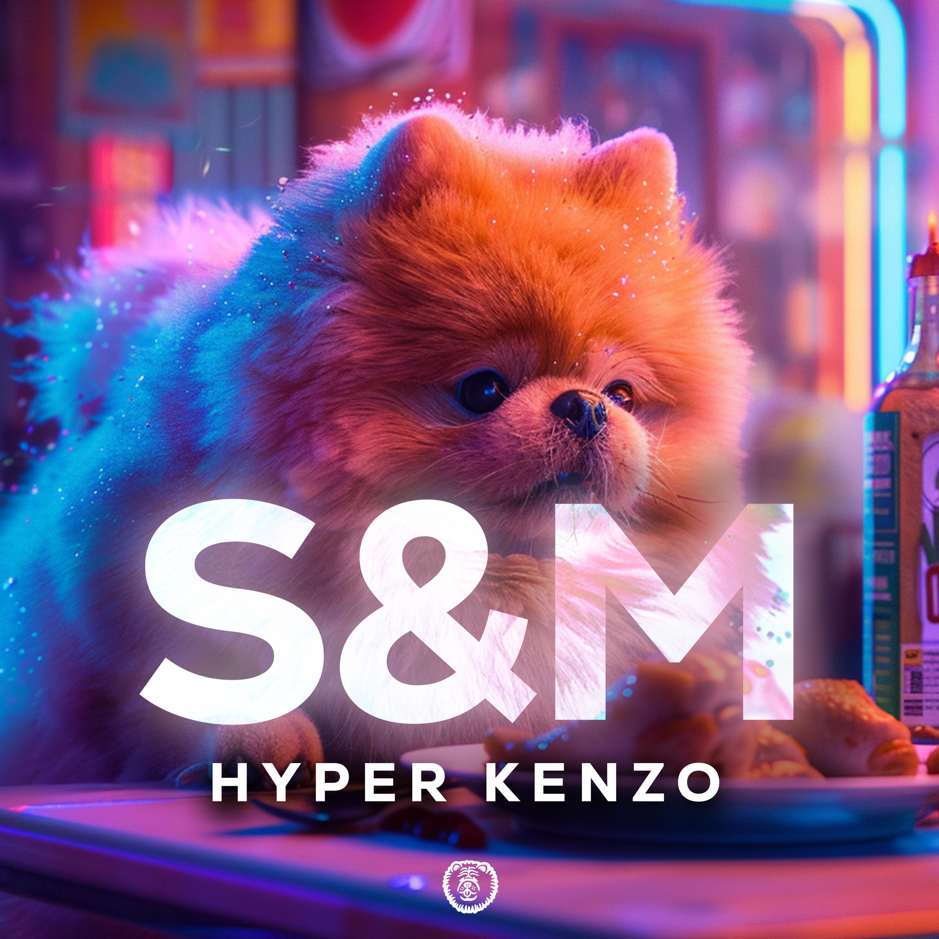 Релиз S&M (Techno Version)