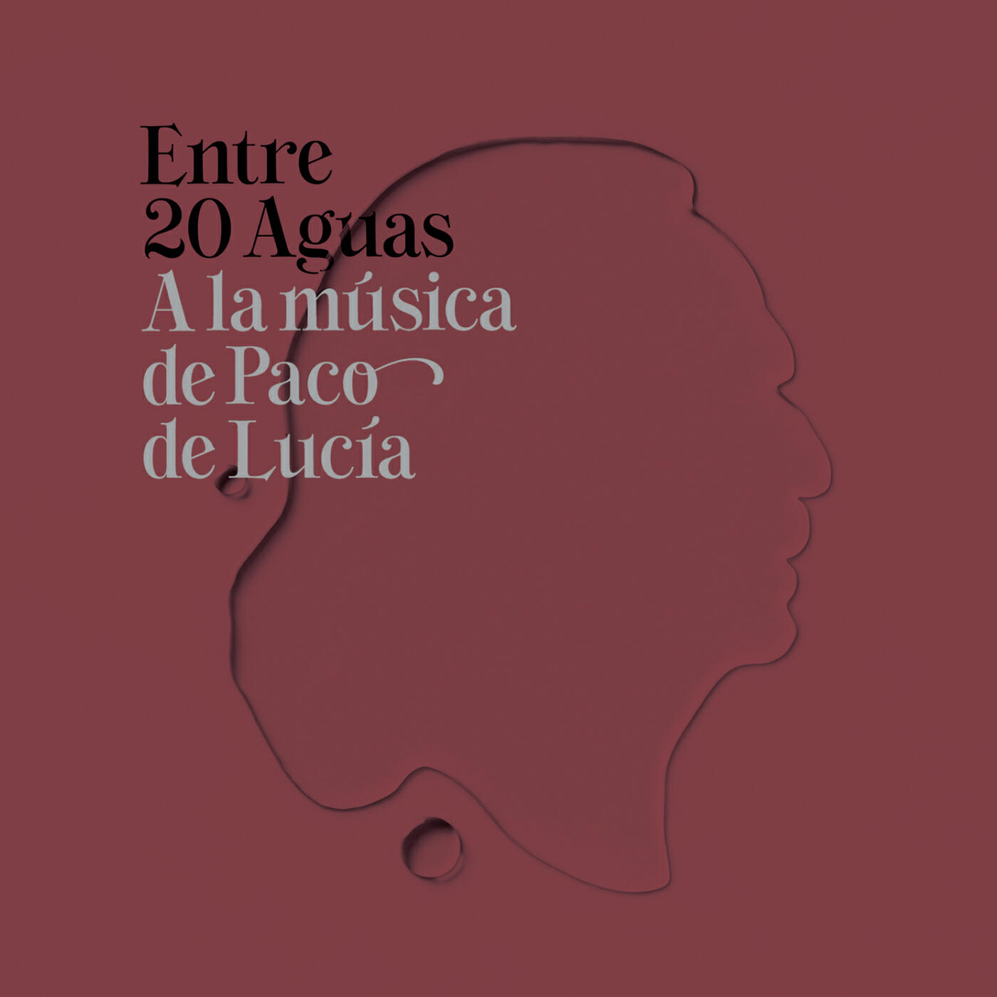 Релиз Entre 20 Aguas A La Música De Paco De Lucía