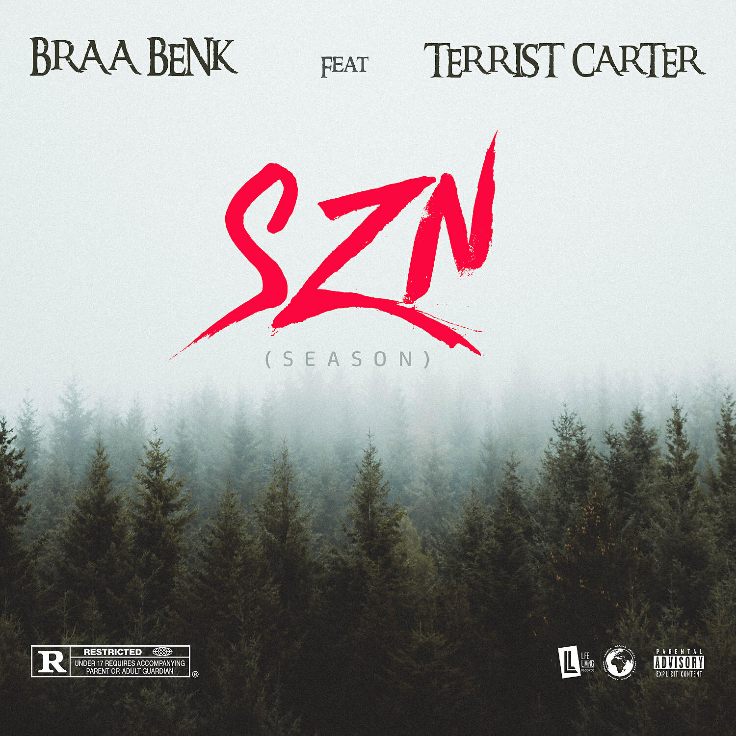 Braa Benk