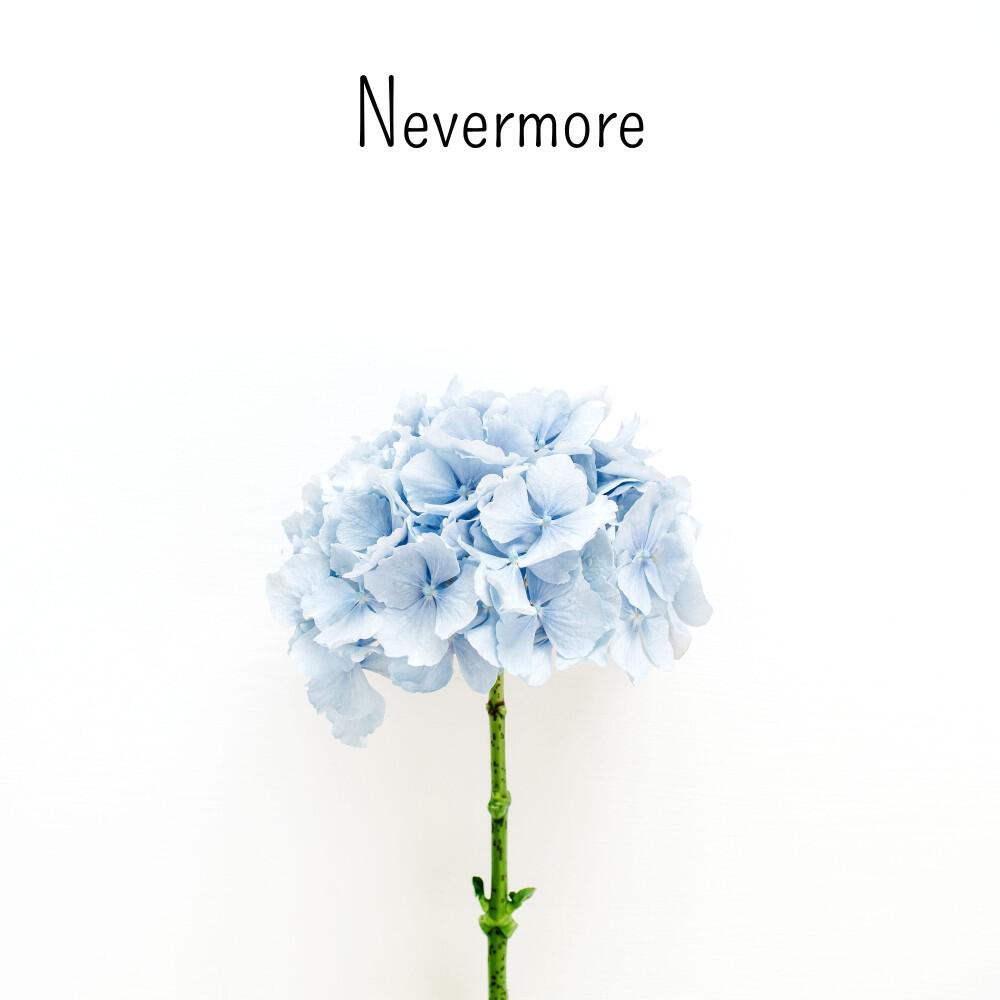 Релиз Nevermore
