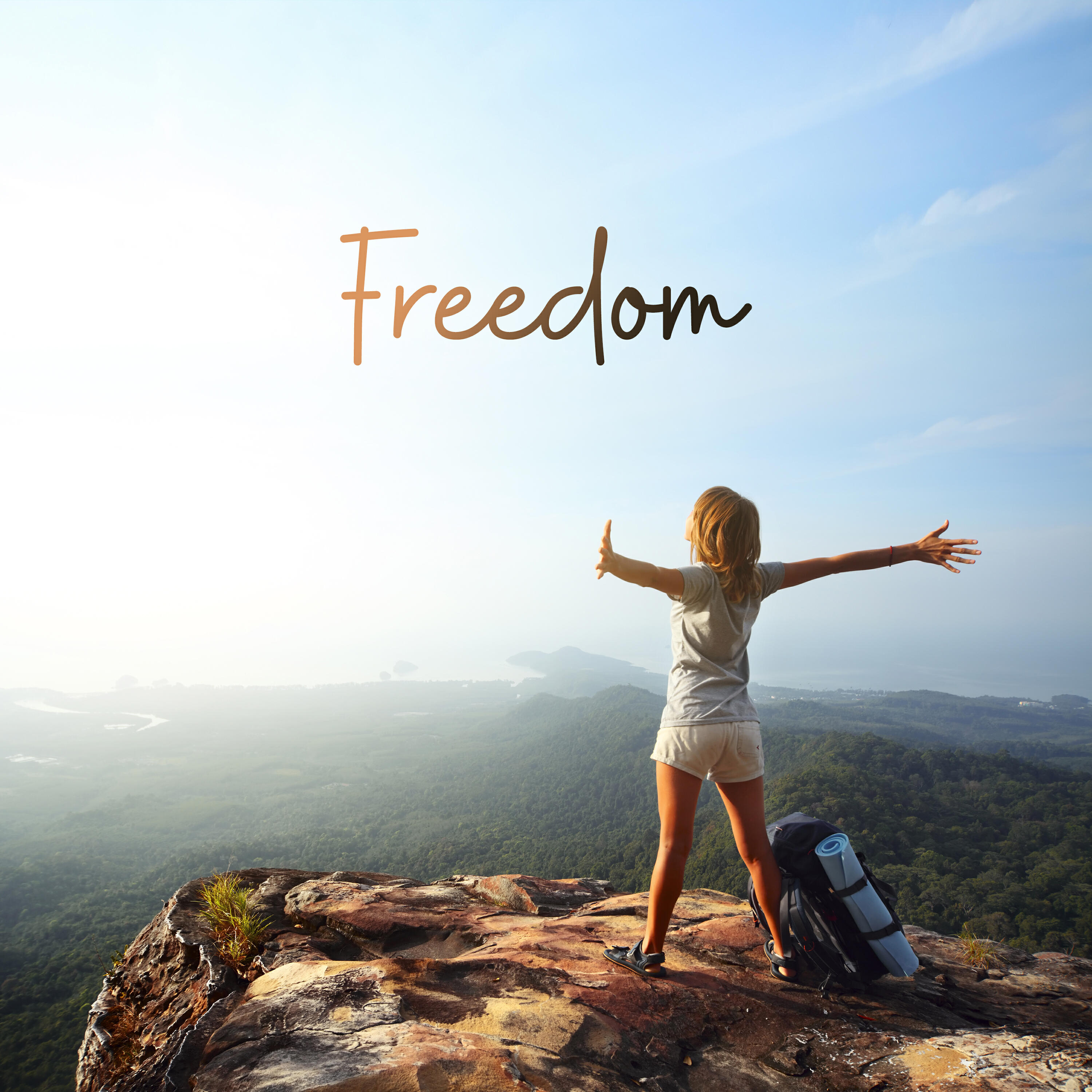 Релиз Feedom