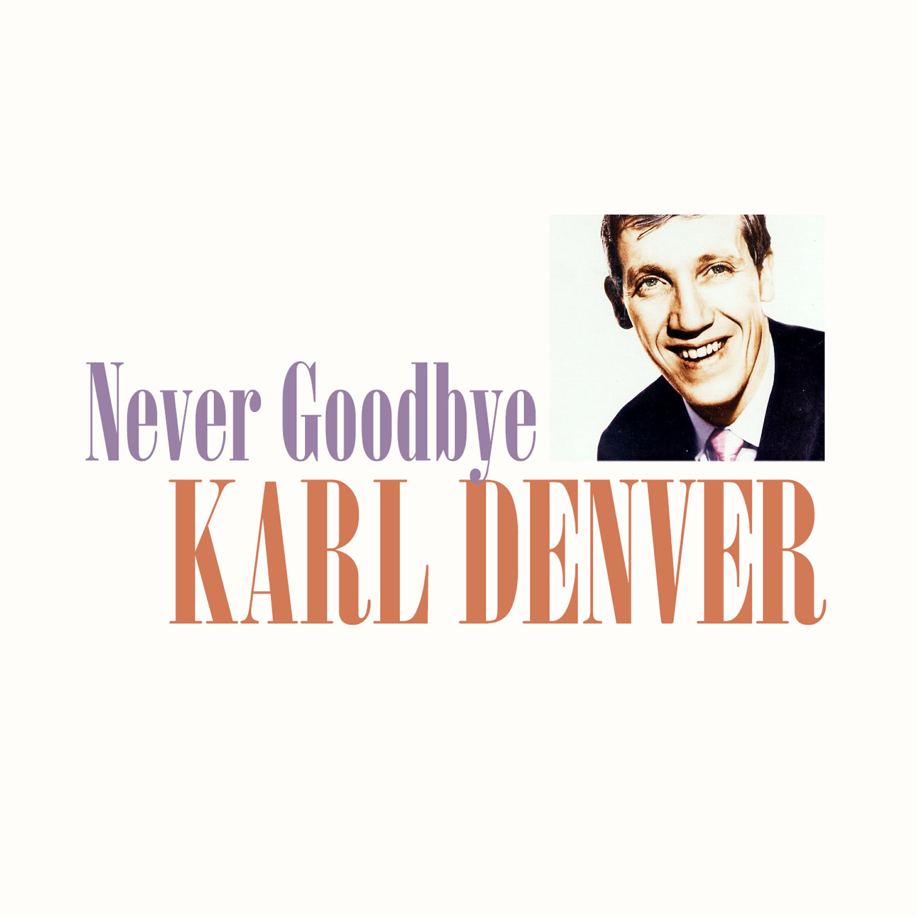 Релиз Never Goodbye