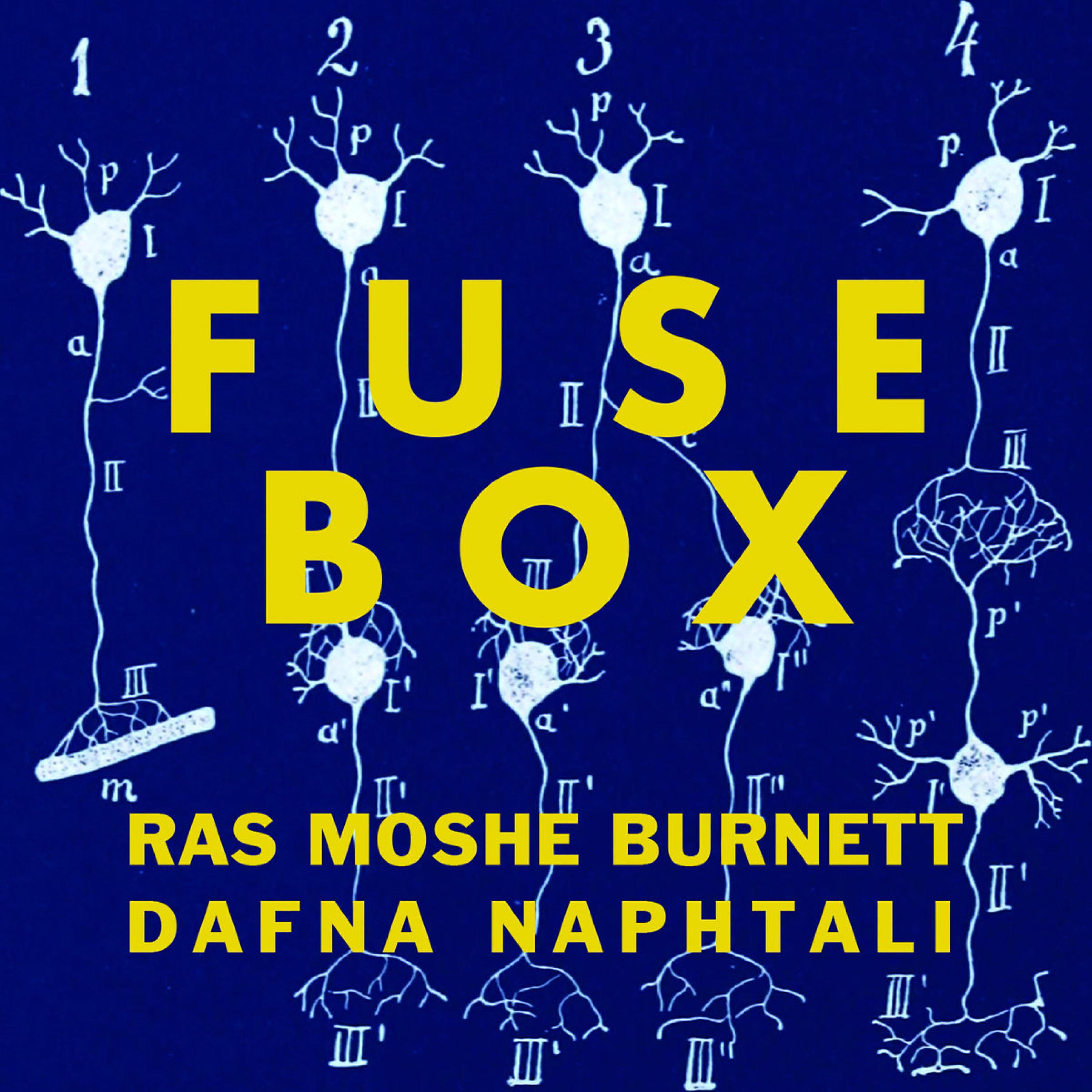 Релиз Fusebox