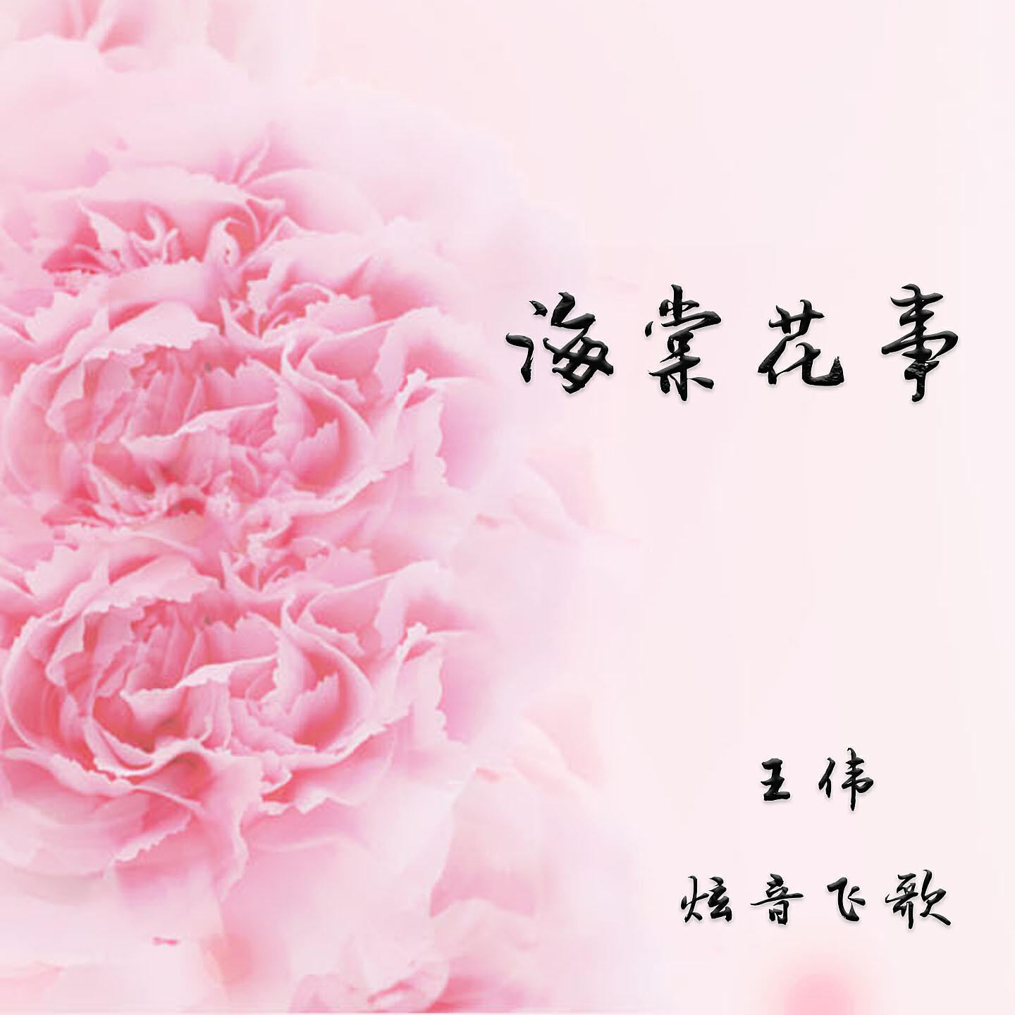 炫音飞歌