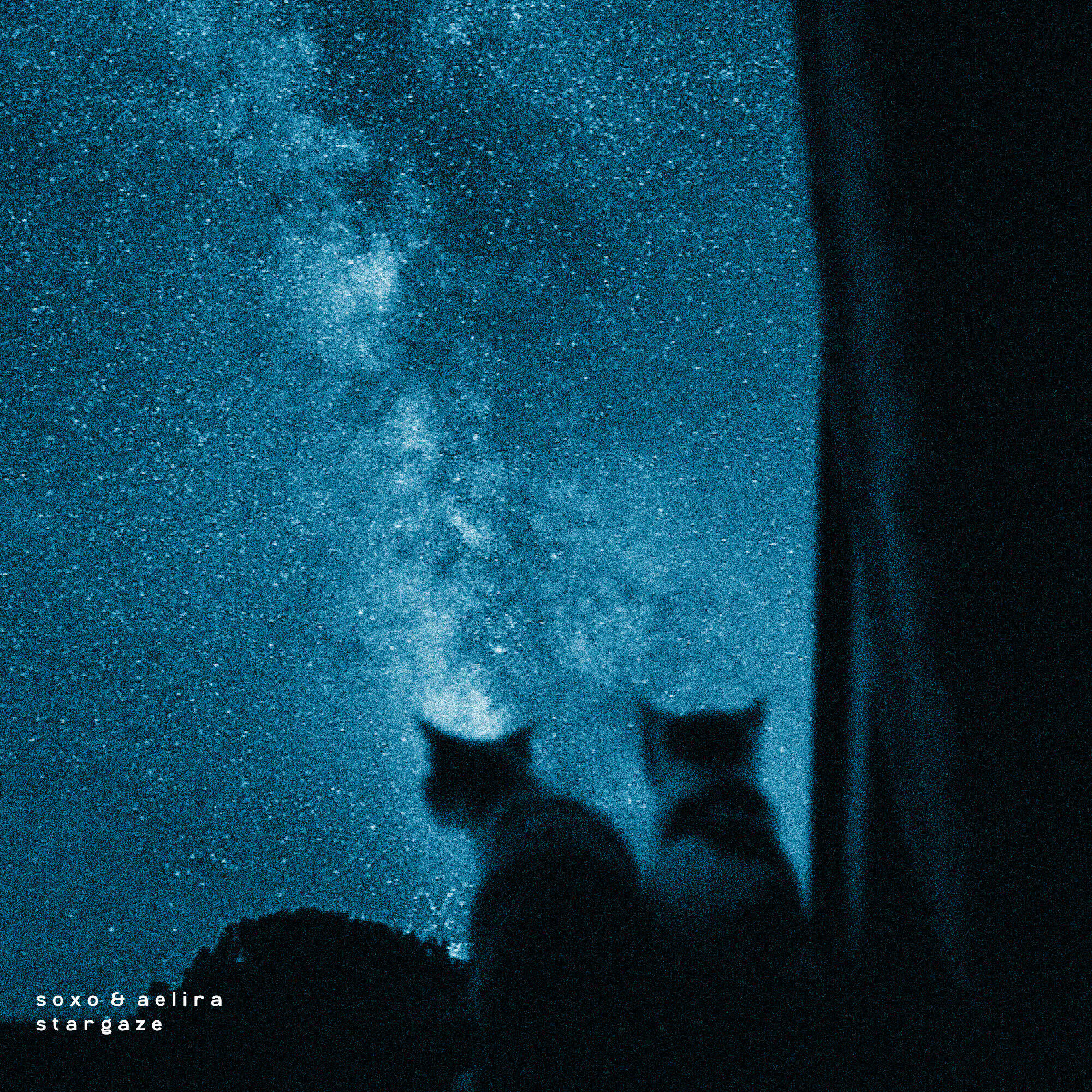 Релиз stargaze