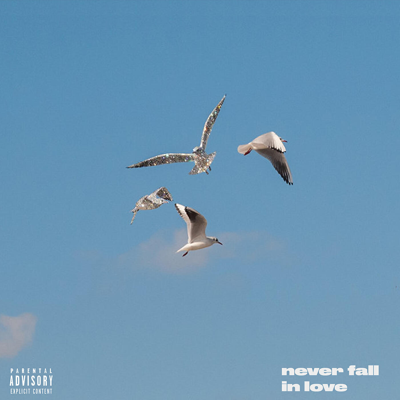 Релиз Never Fall In Love