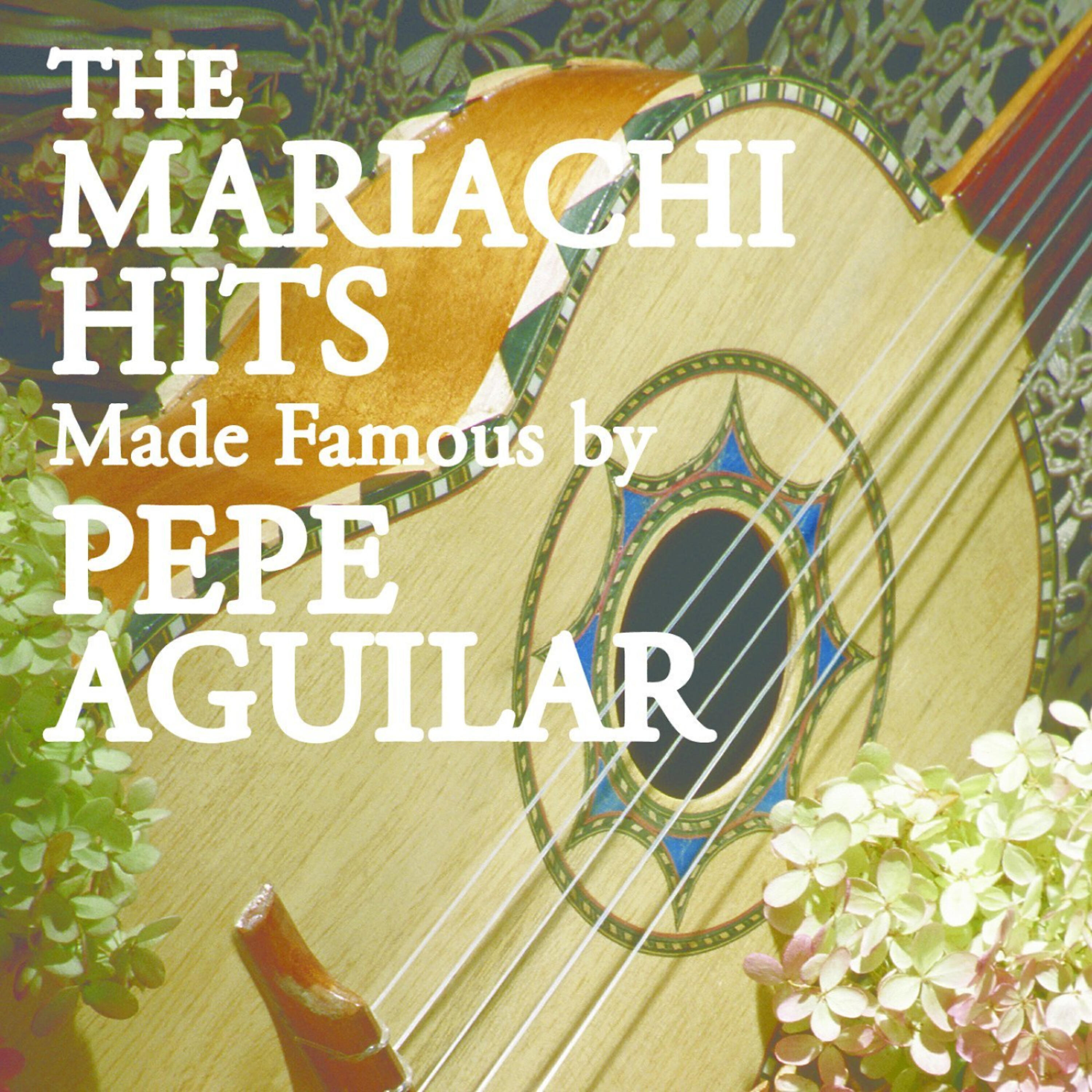 Релиз The Mariachi Hits made Famous By Pepe Aguilar