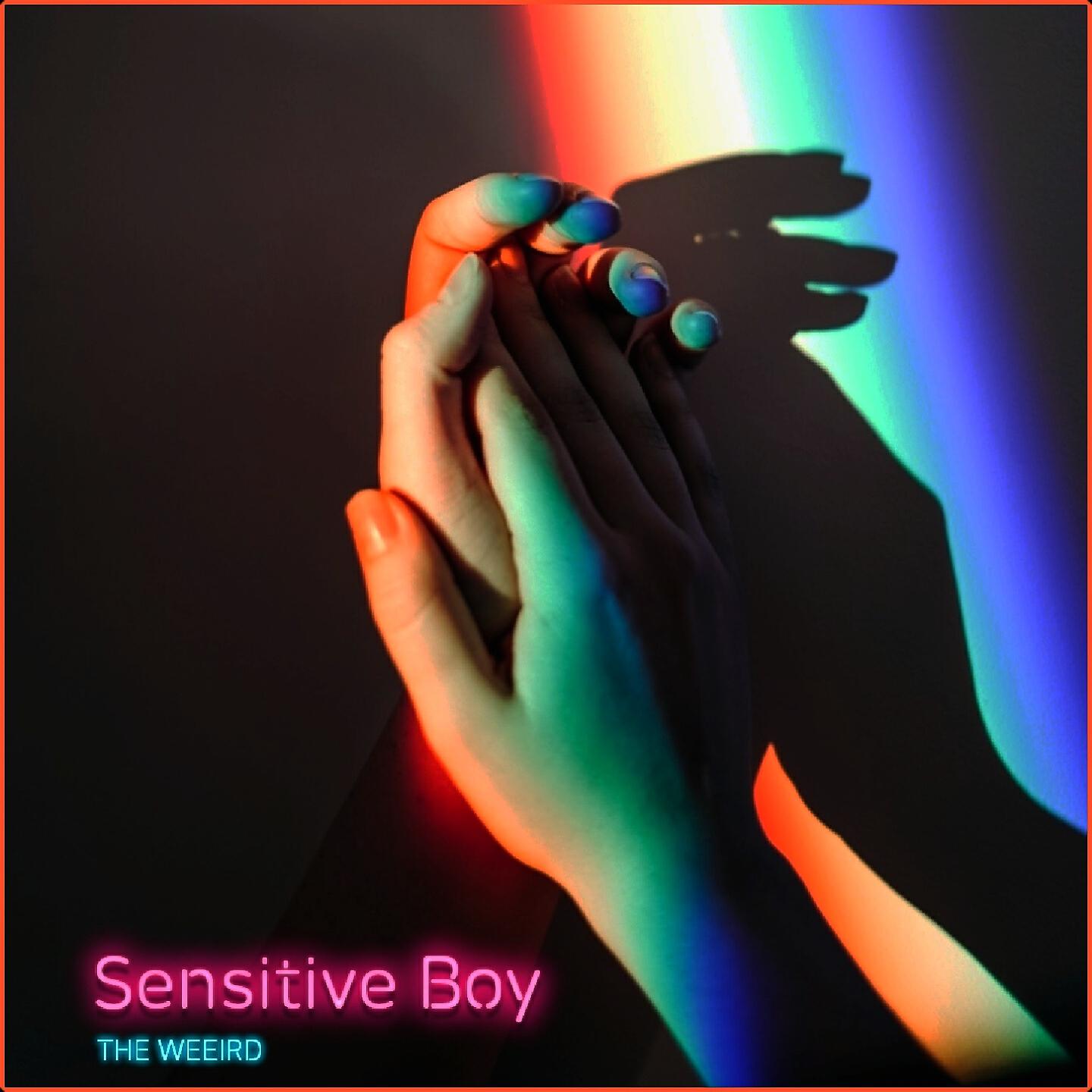 Трек Sensitive Boy