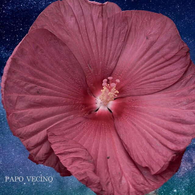 Релиз Las Flores