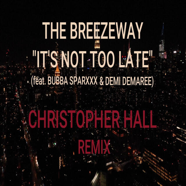 Релиз It's Not Too Late (Christopher Hall Remix)