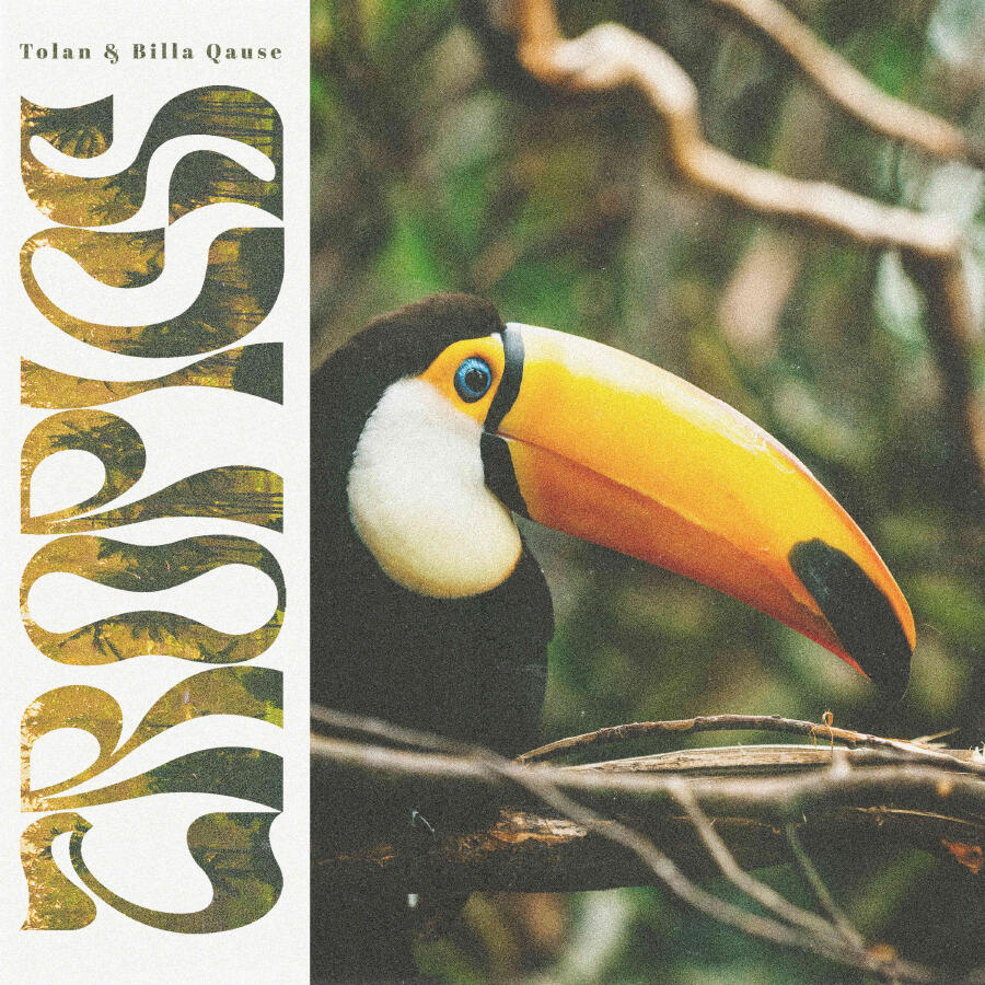 Релиз Tropics