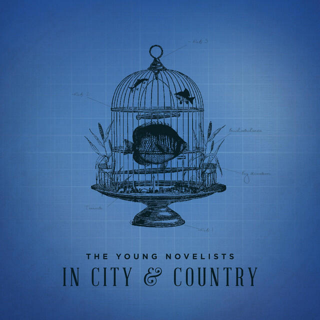 Релиз In City & Country