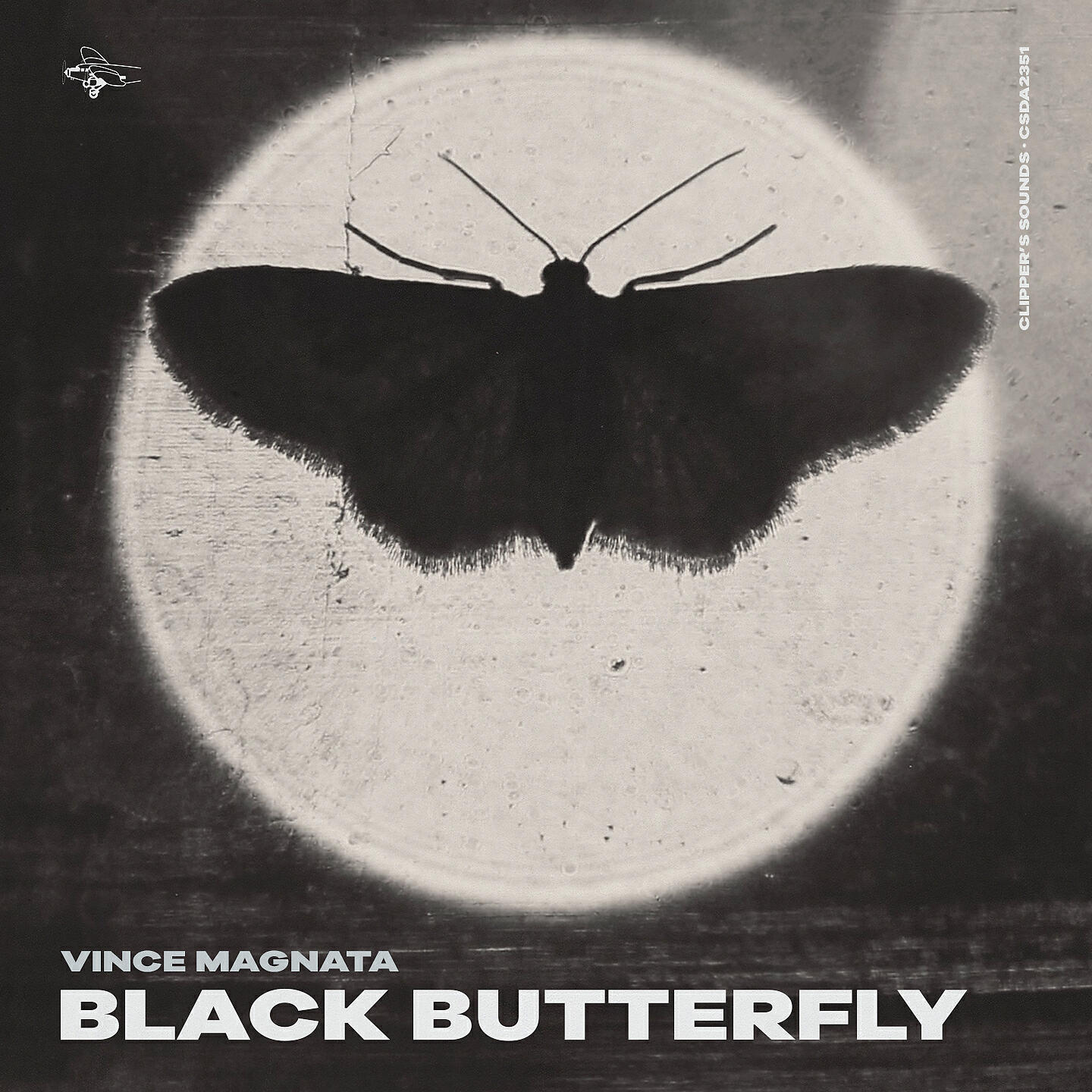 Релиз Black Butterfly